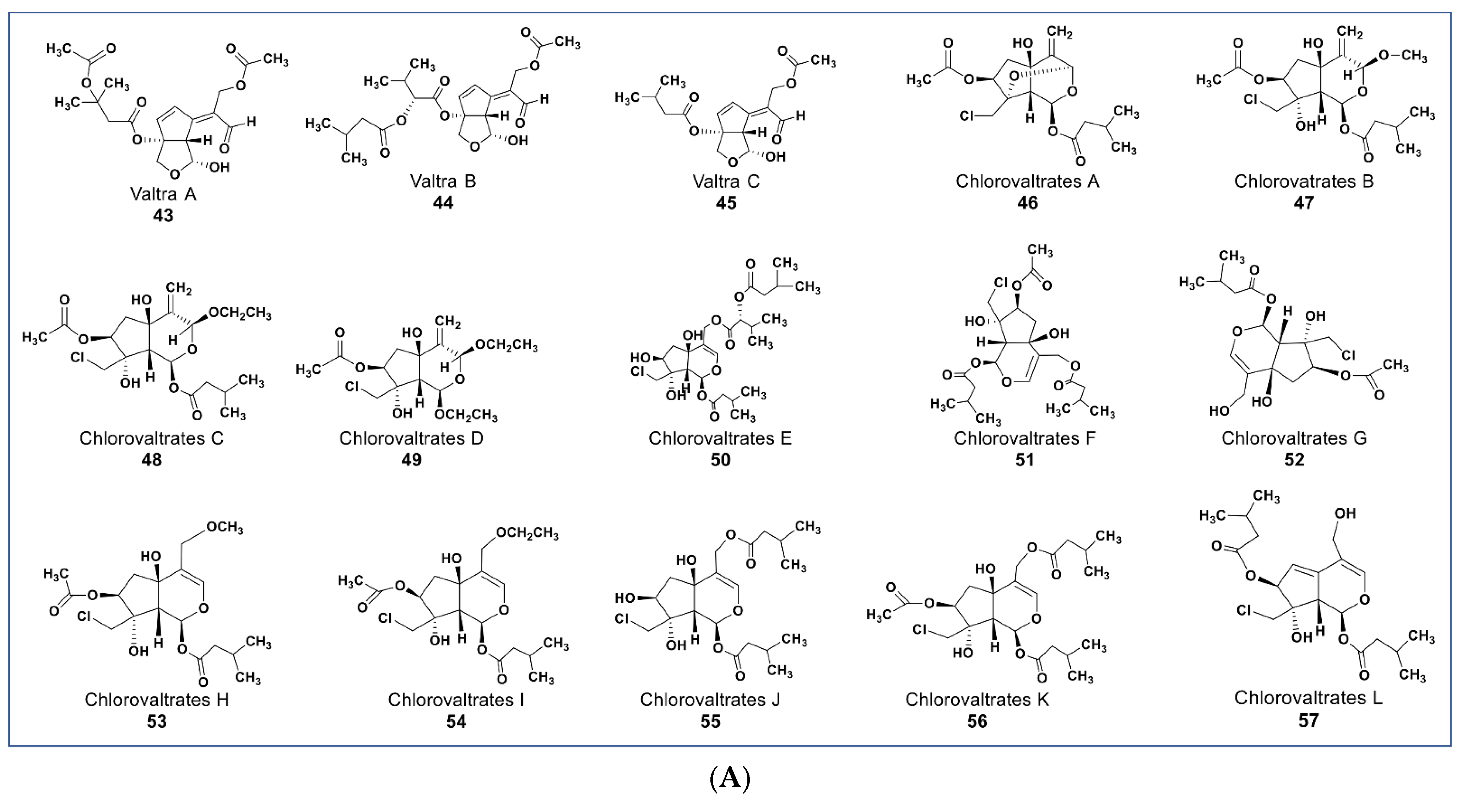 Molecules 27 08307 g006a Molecules 27 08307 g006a