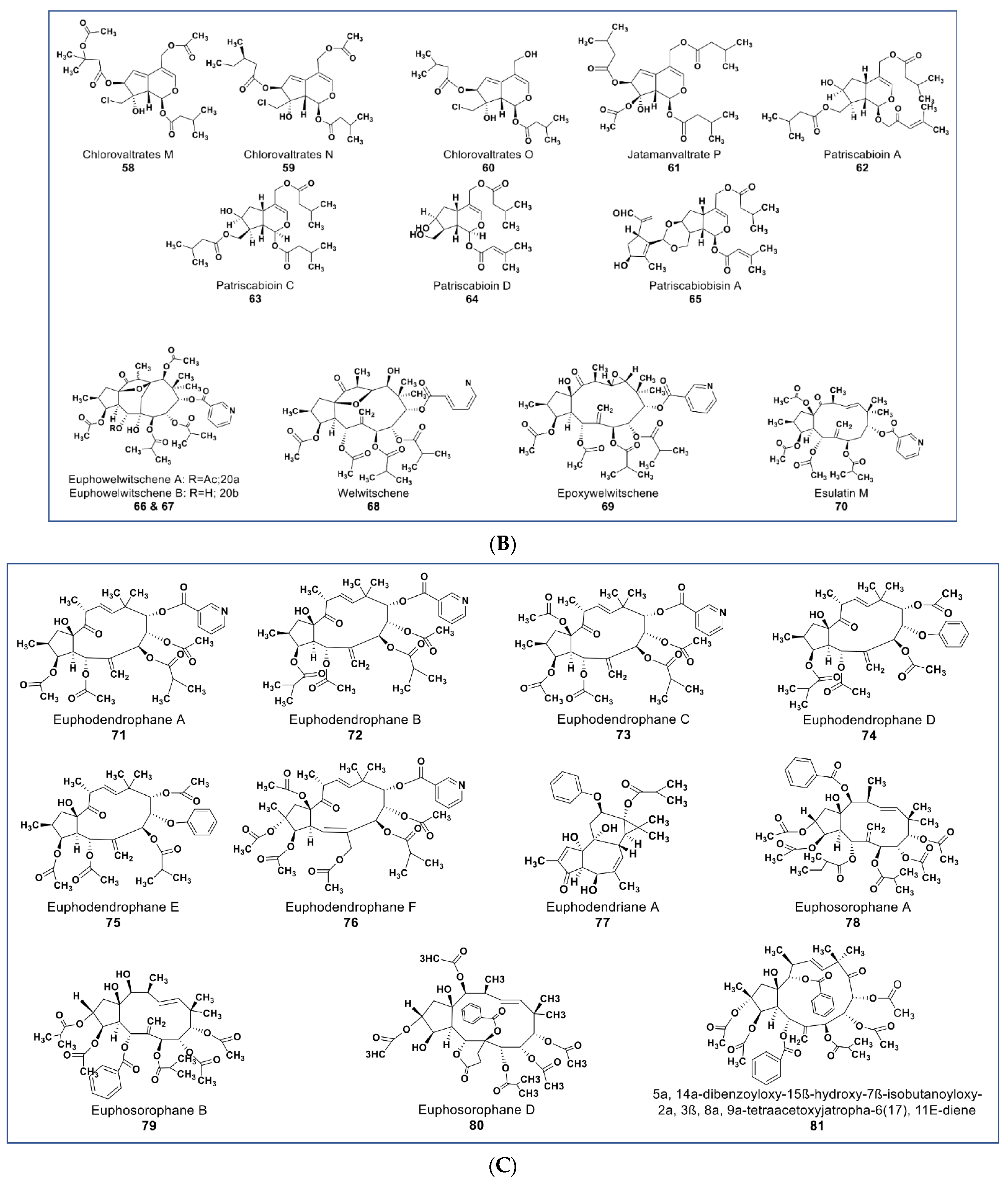 Molecules 27 08307 g006b Molecules 27 08307 g006b