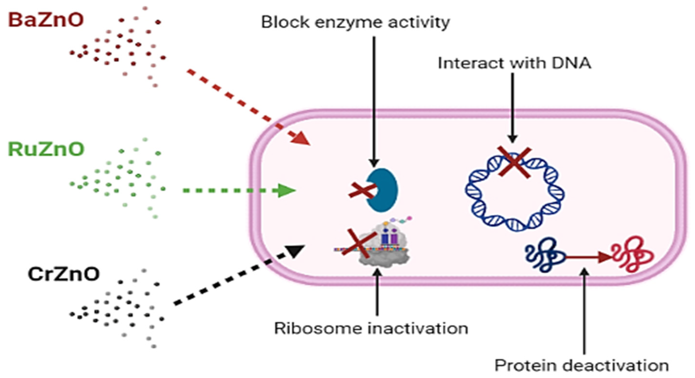 Molecules 27 08309 g005 Molecules 27 08309 g005