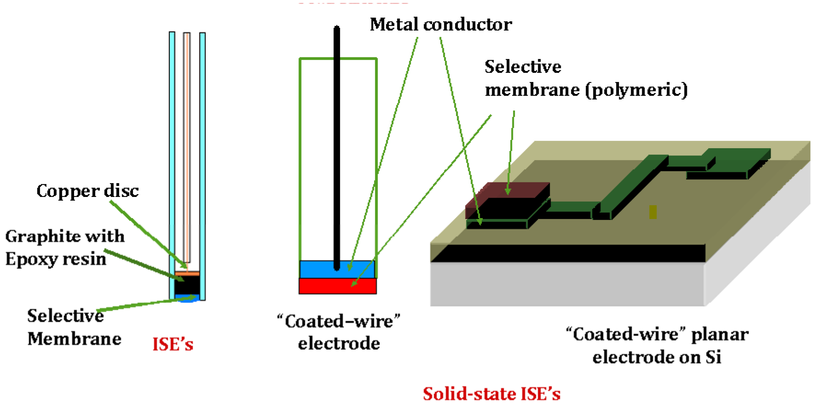 Molecules 27 08312 g002 Molecules 27 08312 g002