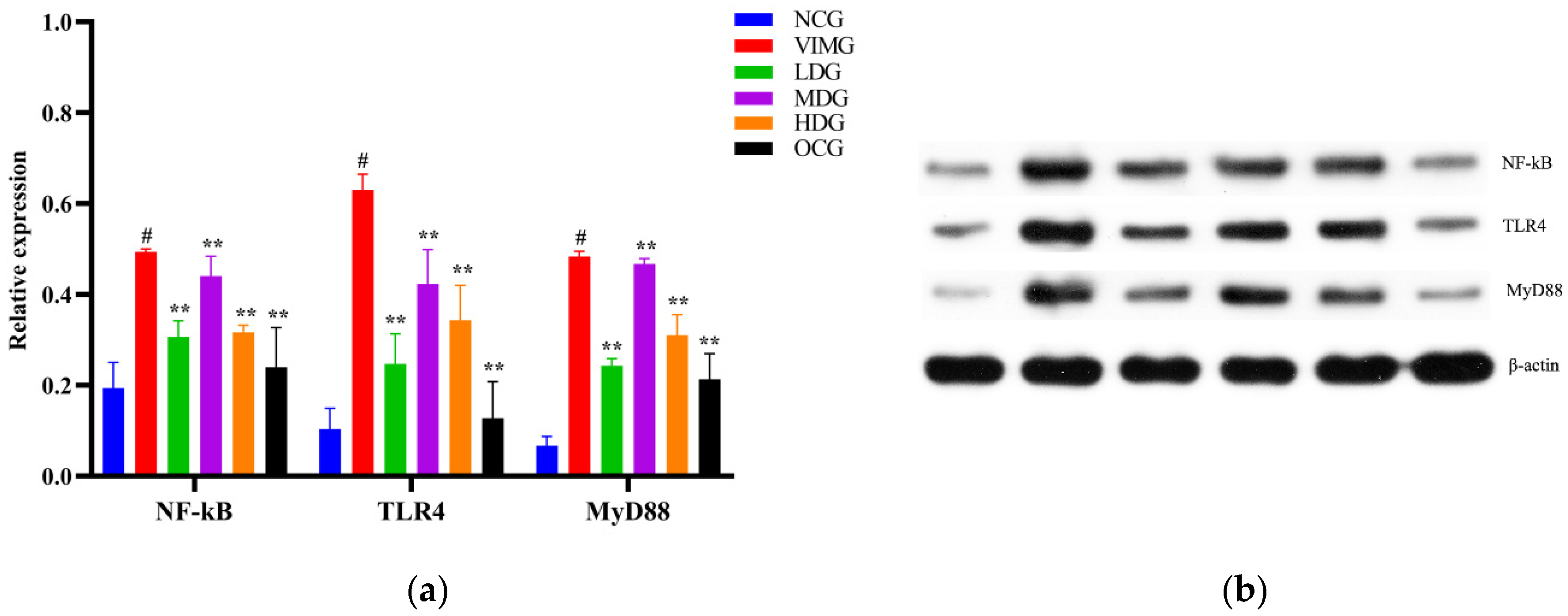 Molecules 27 08313 g005