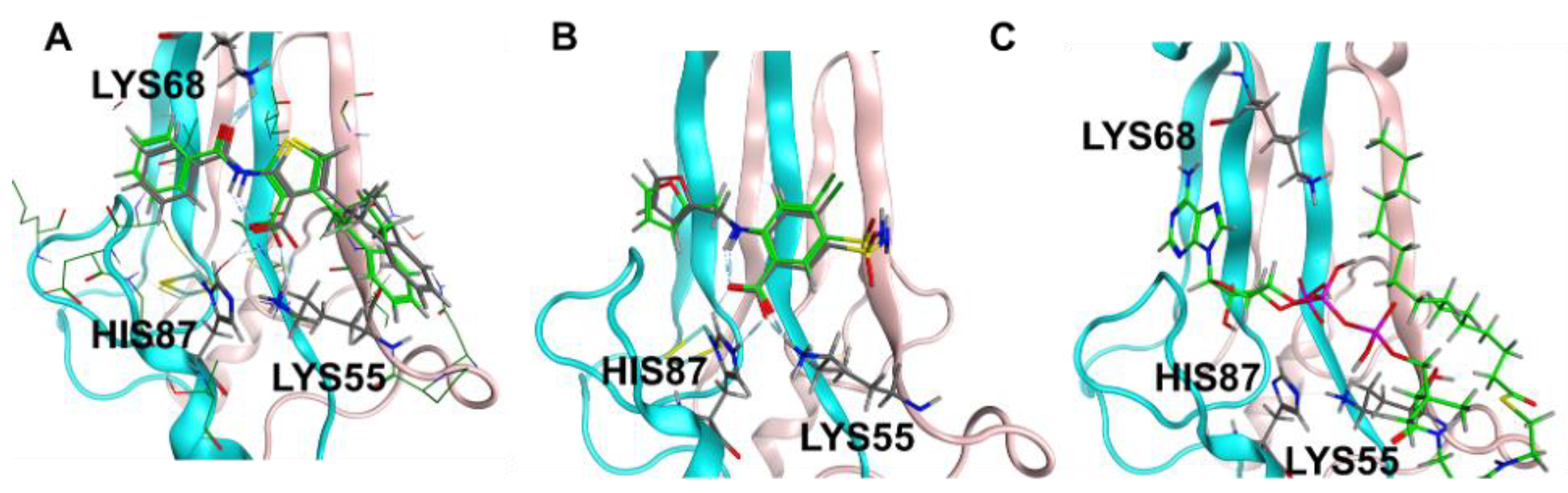 Molecules 27 08314 g003 Molecules 27 08314 g003