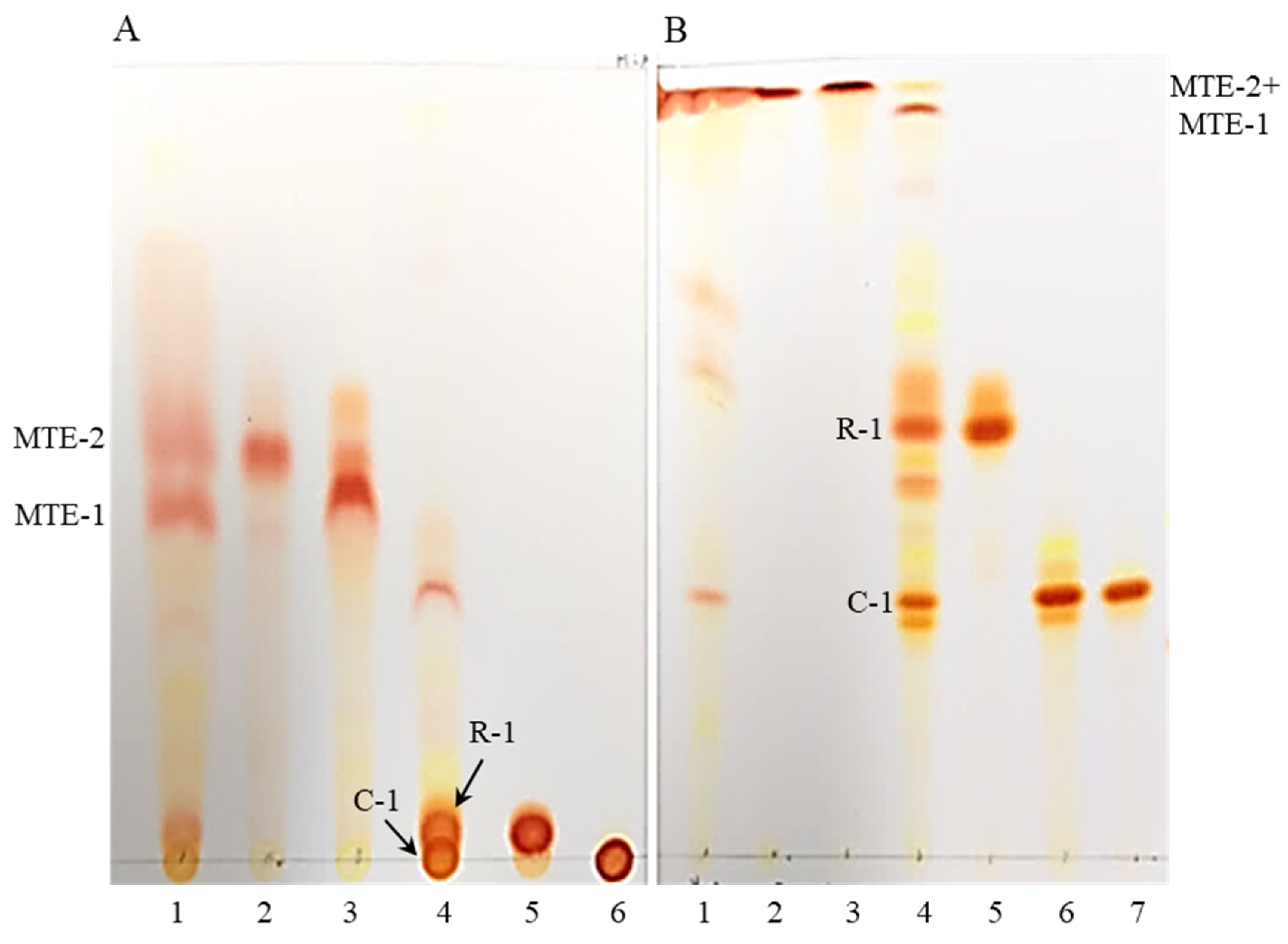 Molecules 27 08317 g001