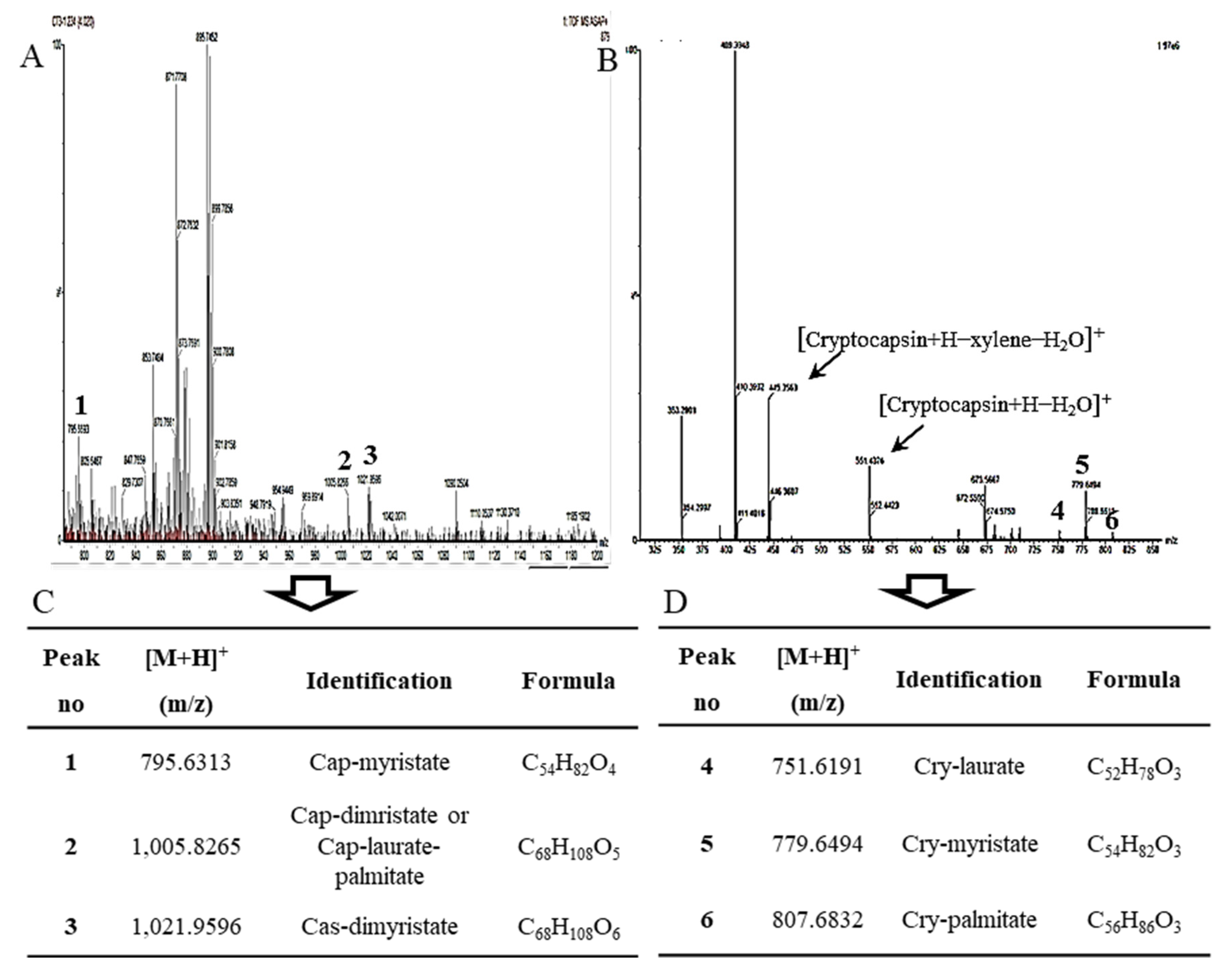 Molecules 27 08317 g005