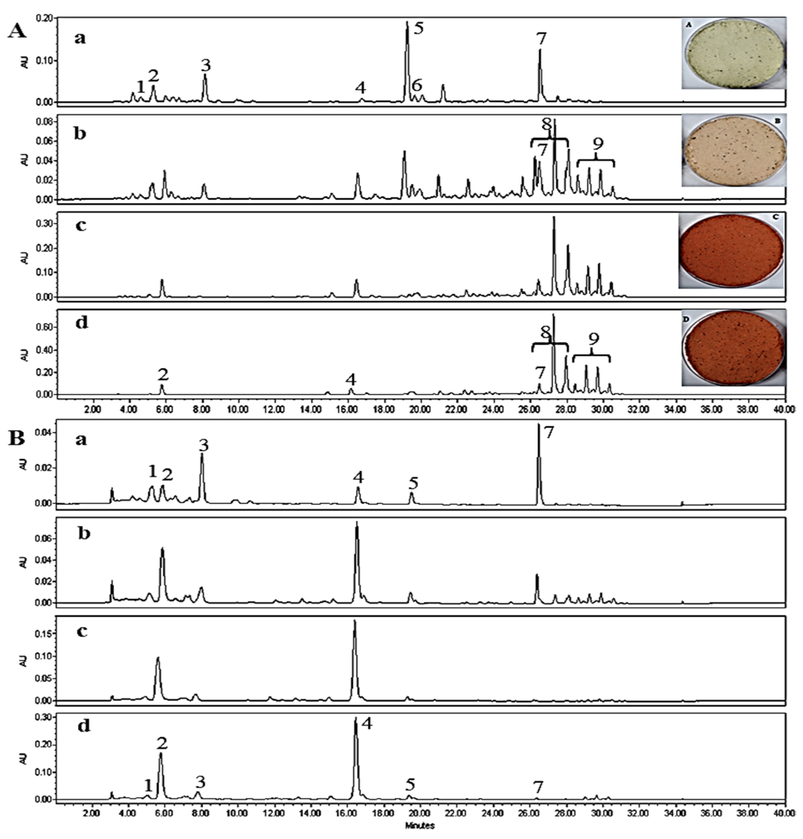 Molecules 27 08317 g006