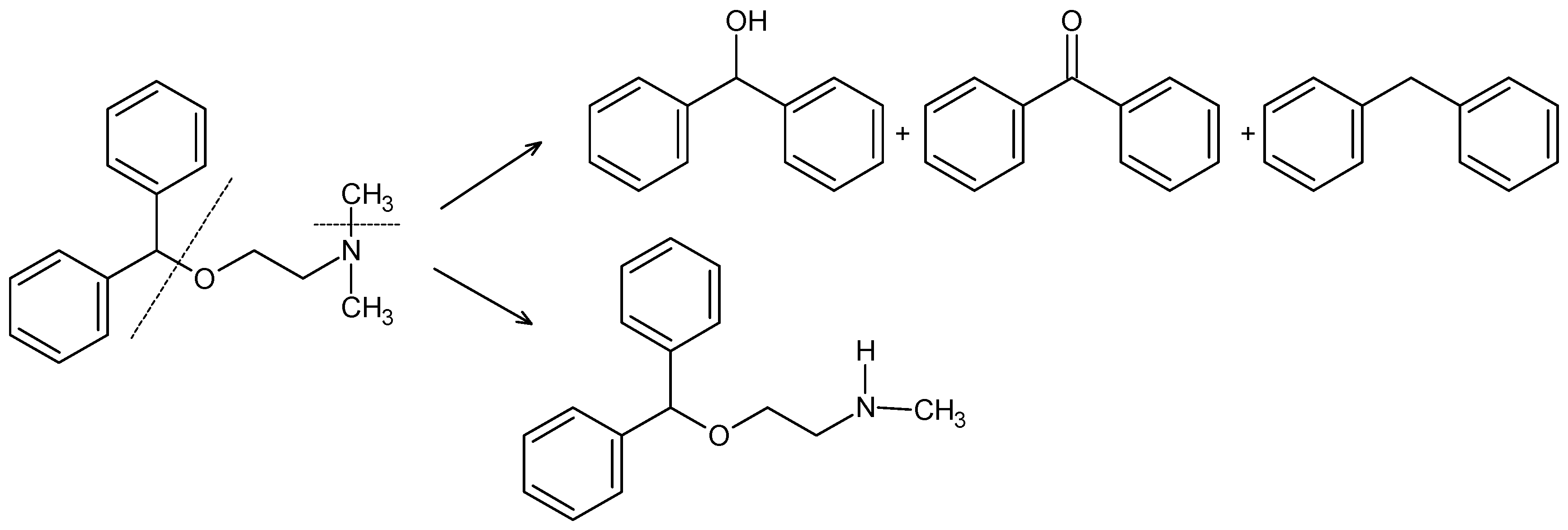 Molecules 27 08322 g008