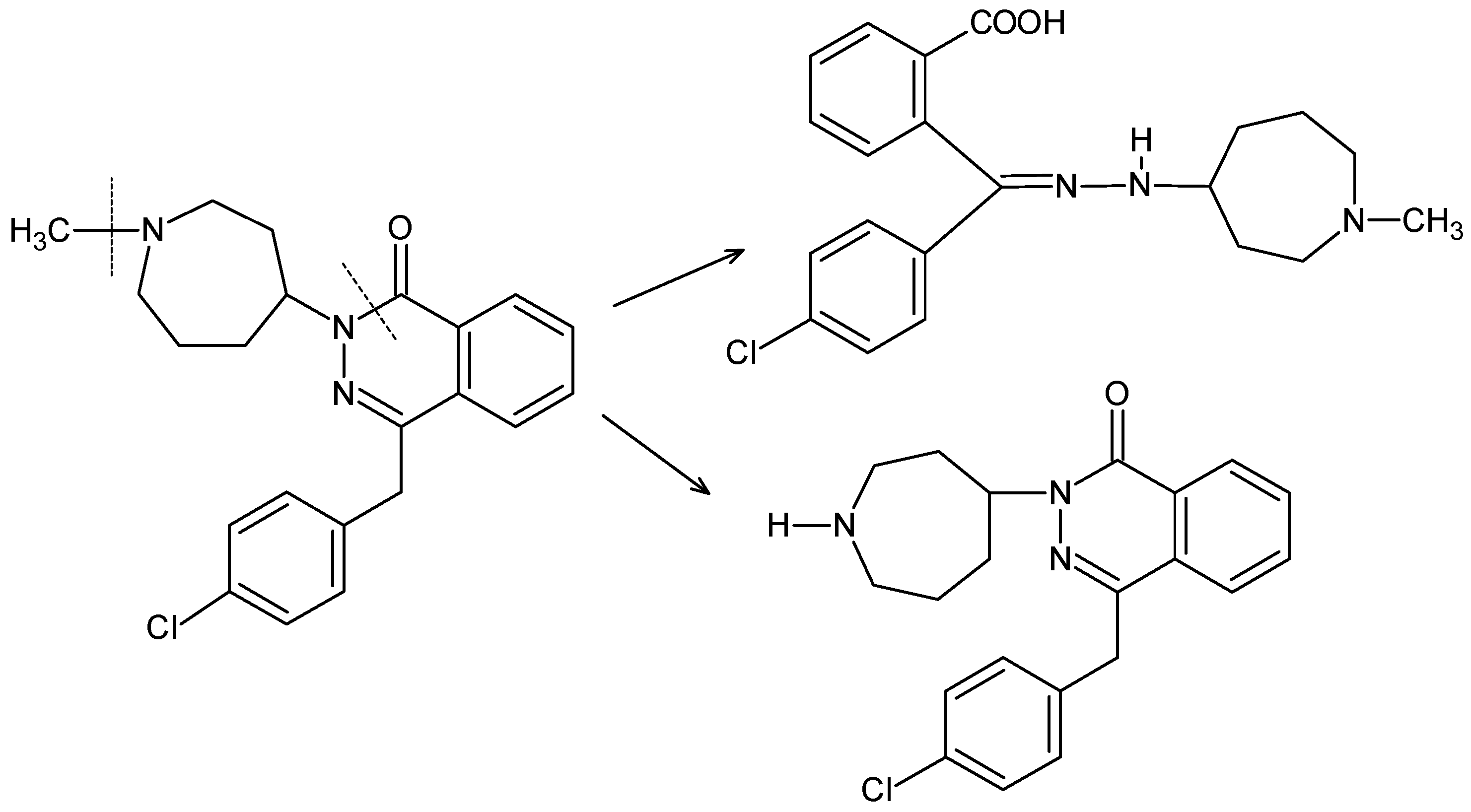 Molecules 27 08322 g009