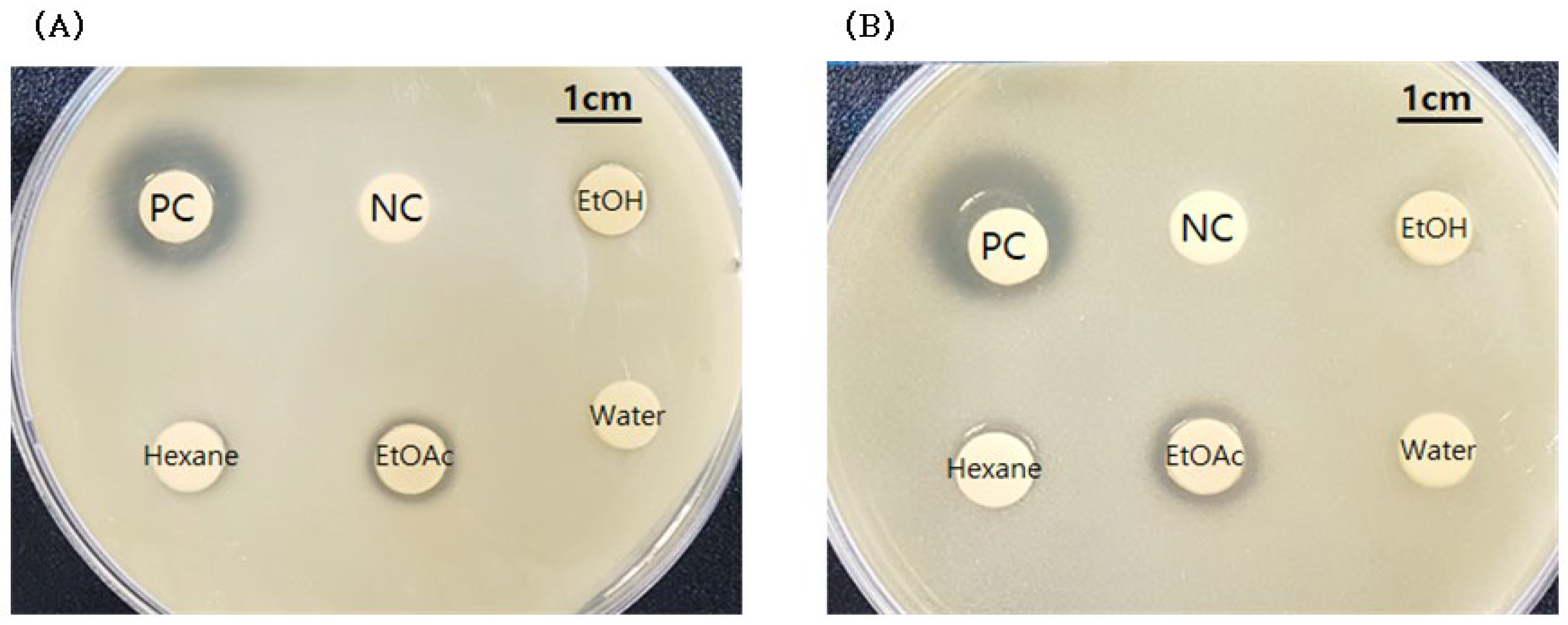 Molecules 27 08331 g001