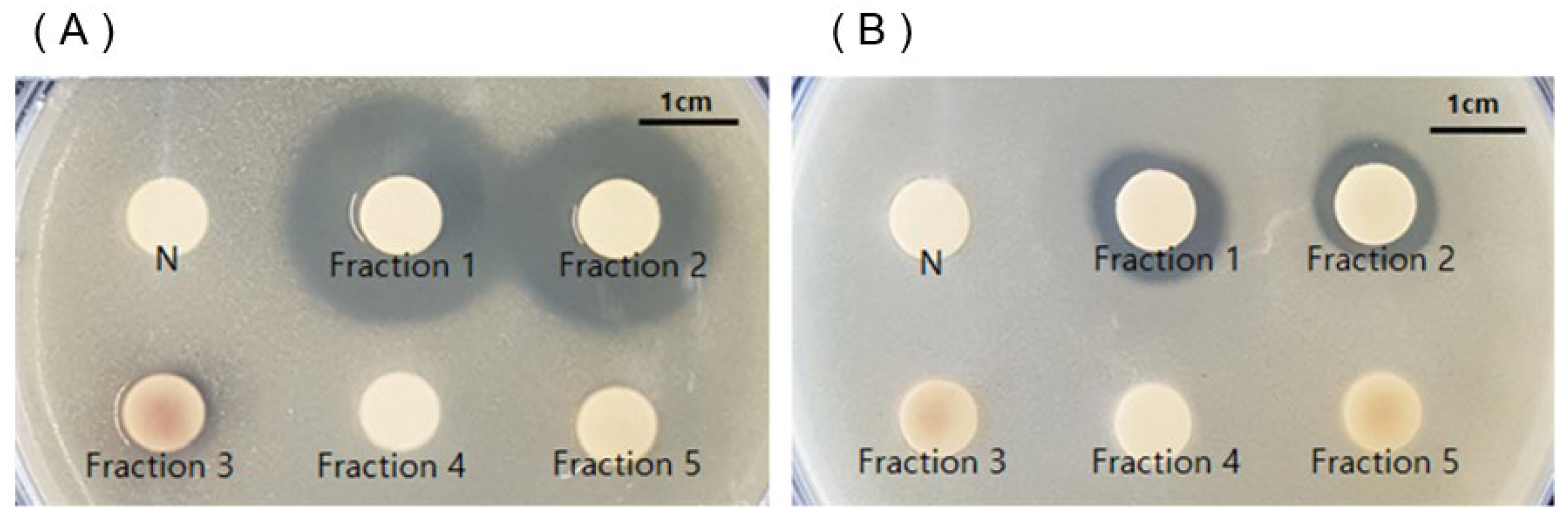 Molecules 27 08331 g003