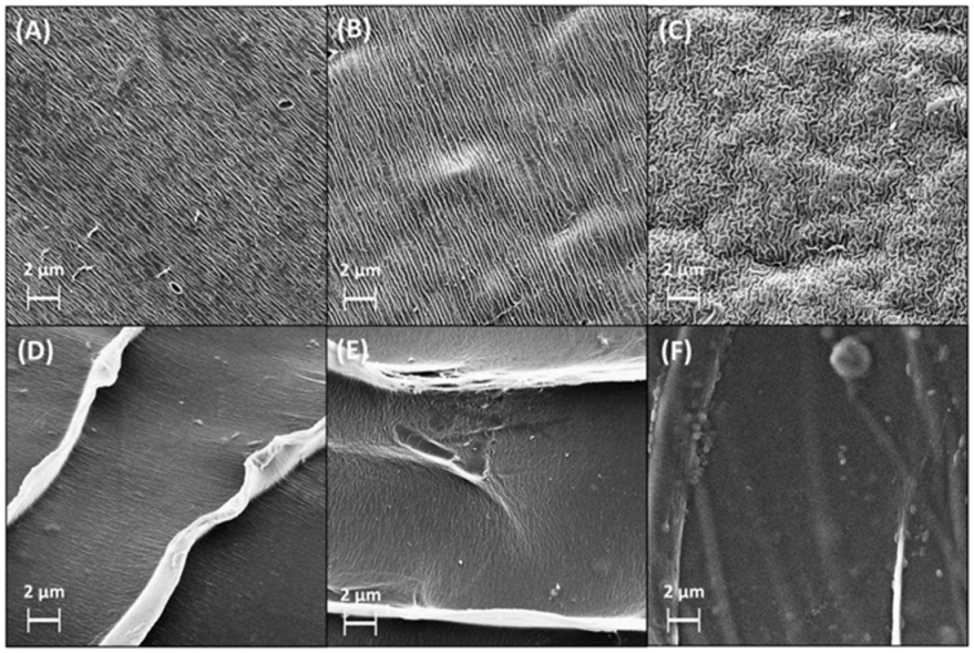 Molecules 27 08334 g001 Molecules 27 08334 g001