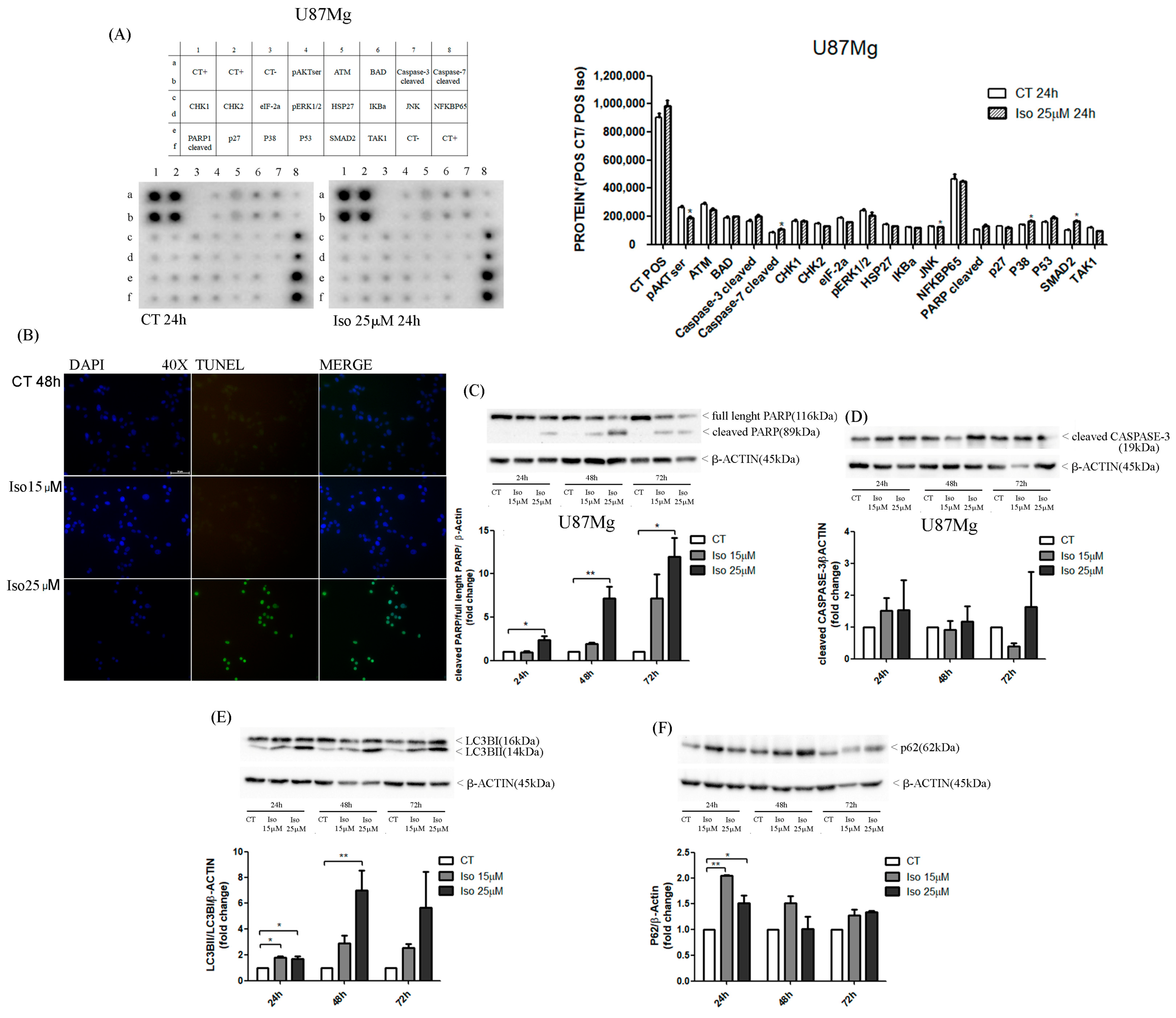 Molecules 27 08335 g004