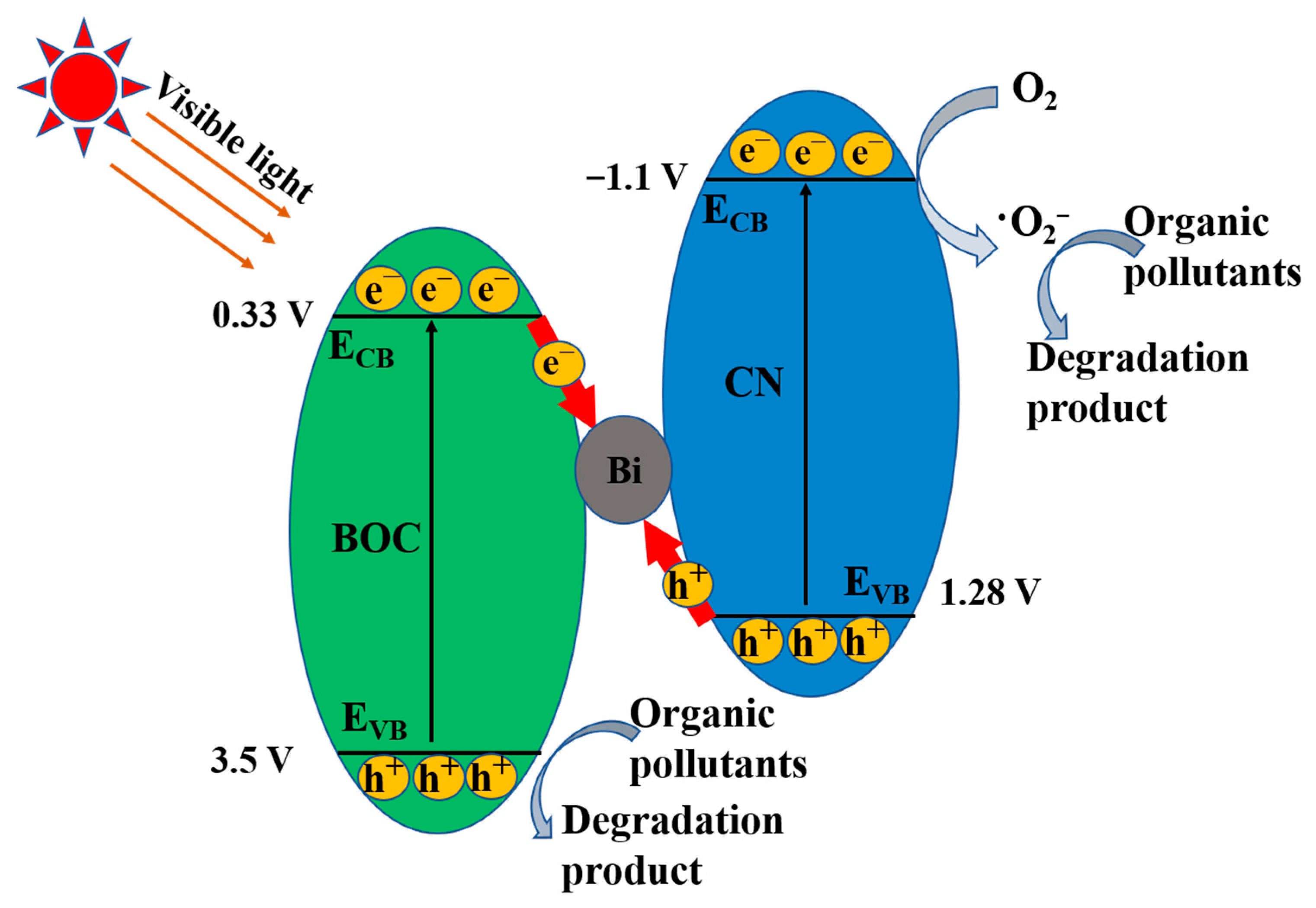 Molecules 27 08336 g008