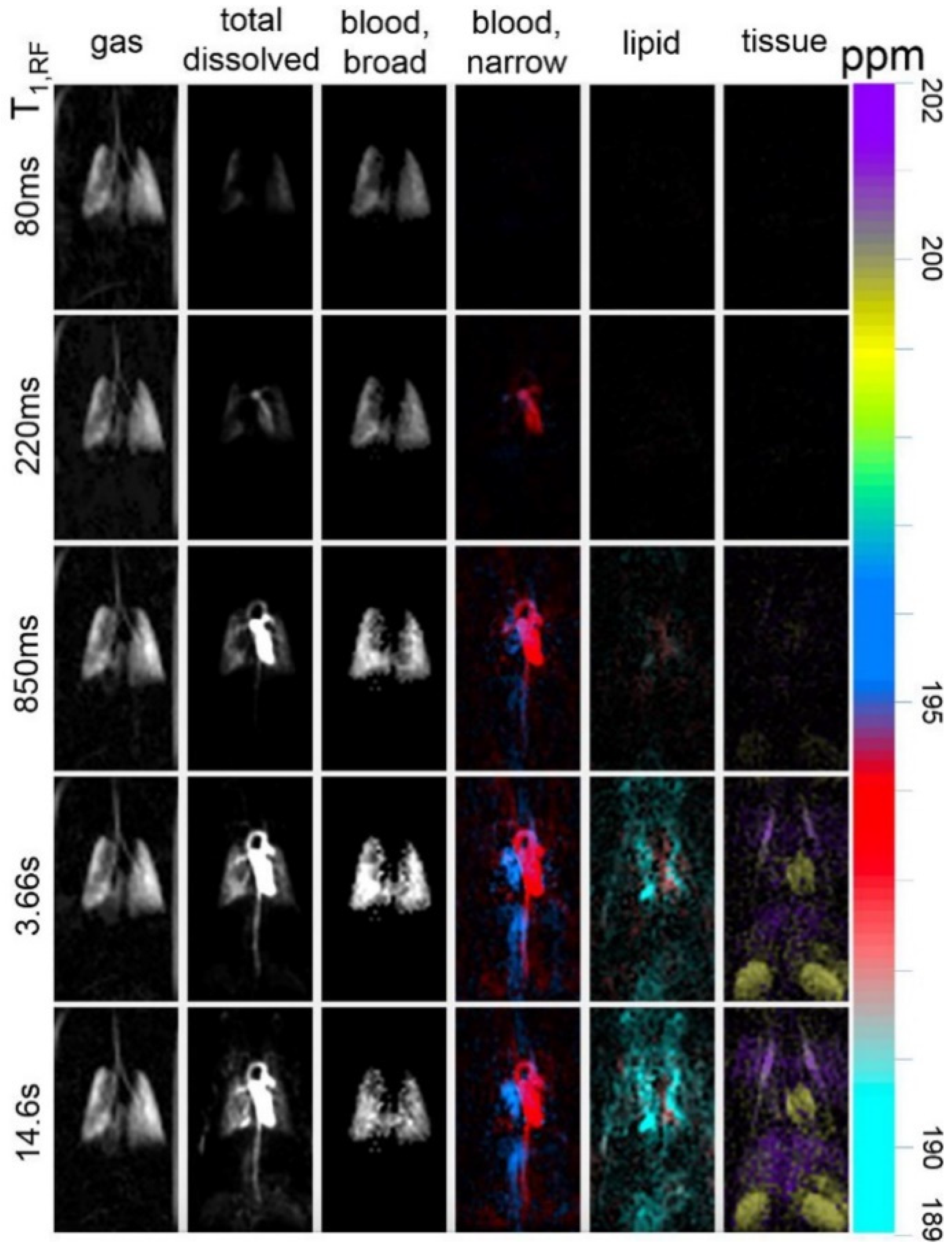 Molecules 27 08338 g028 Molecules 27 08338 g028
