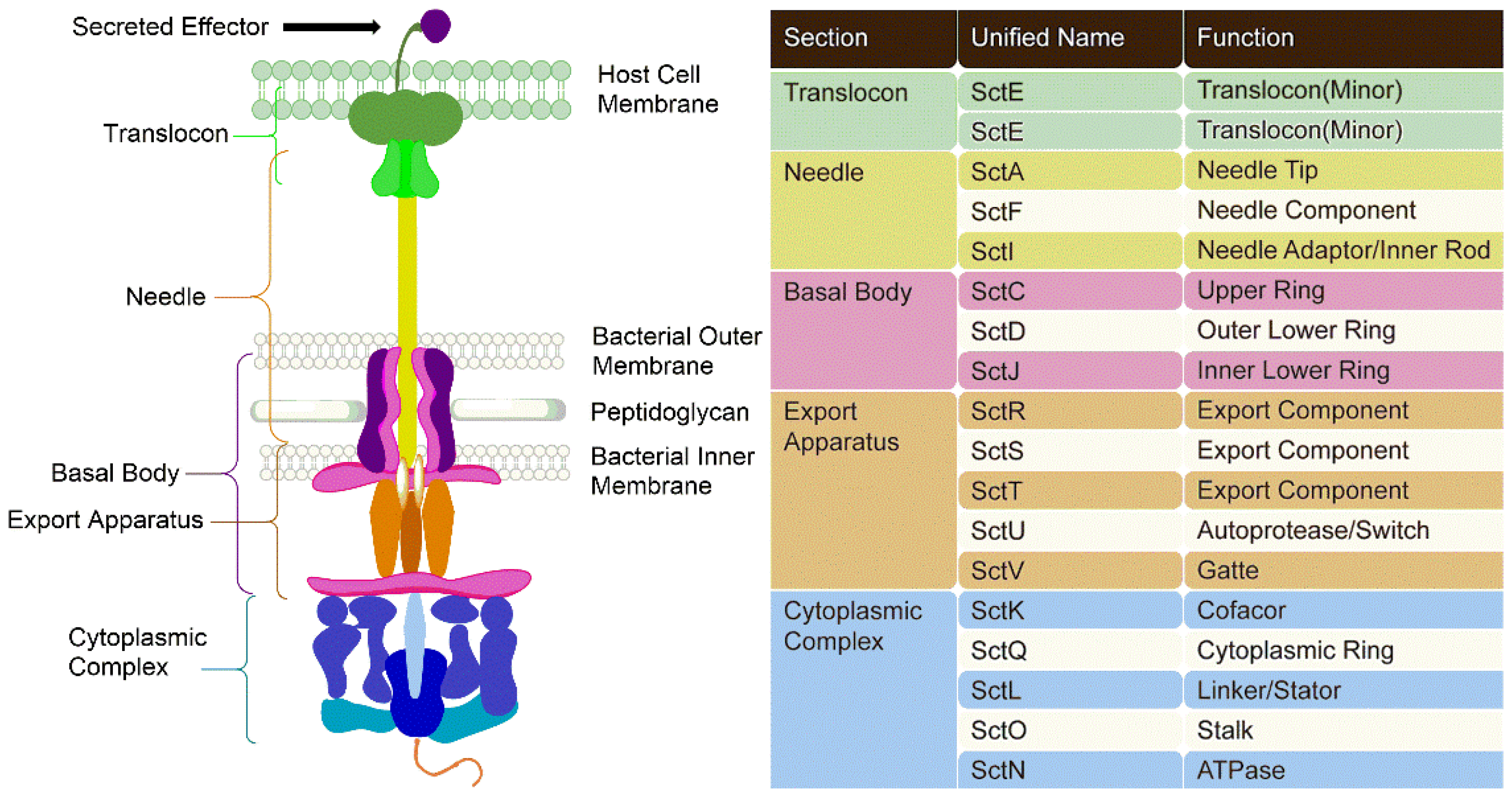 Molecules 27 08348 g001 Molecules 27 08348 g001