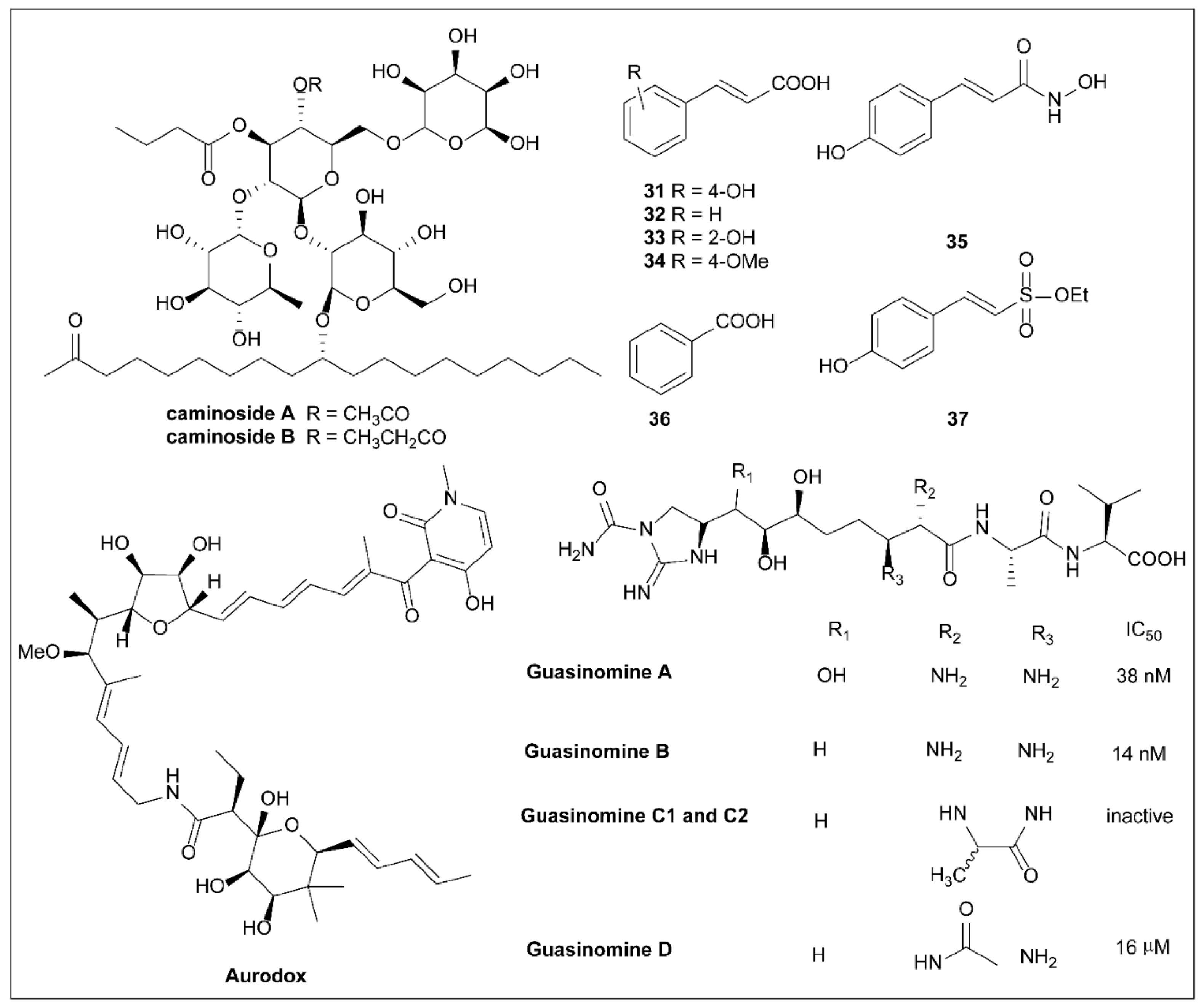 Molecules 27 08348 g010 Molecules 27 08348 g010