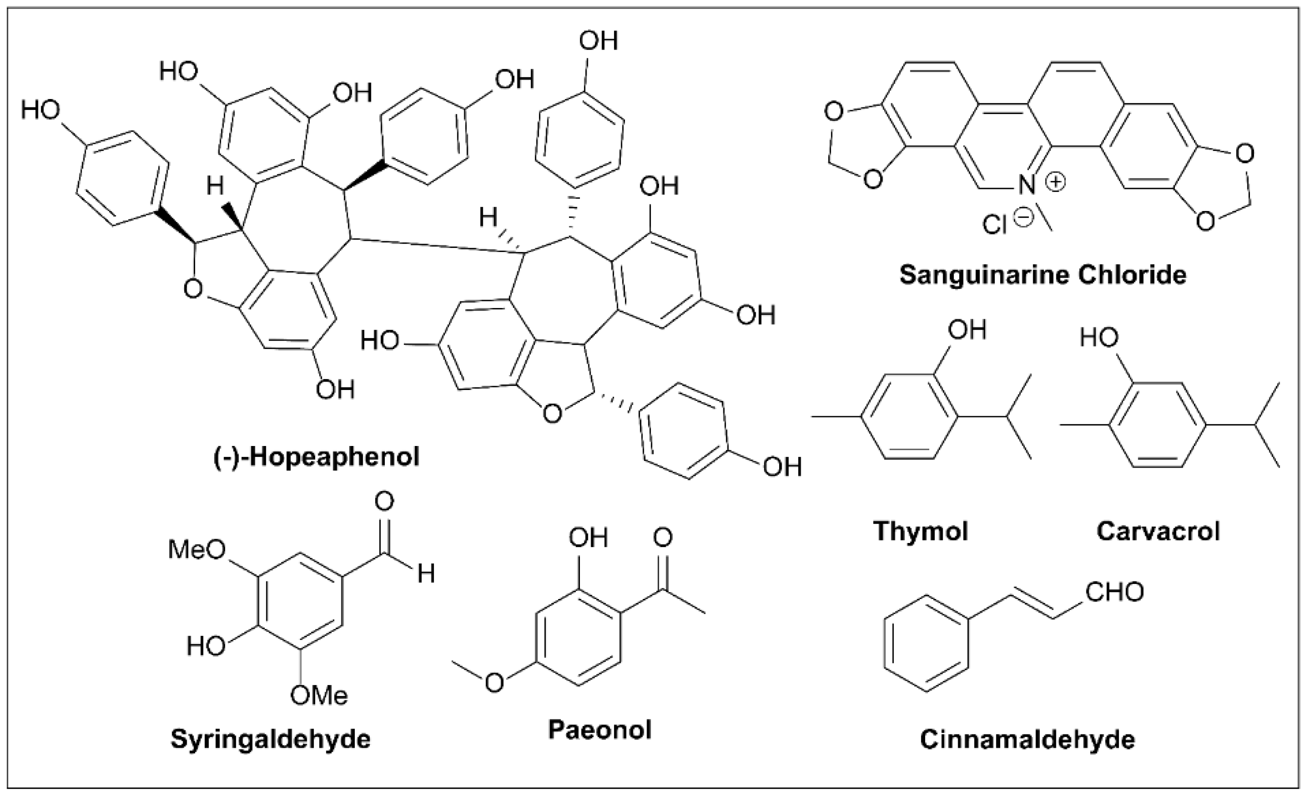 Molecules 27 08348 g012 Molecules 27 08348 g012