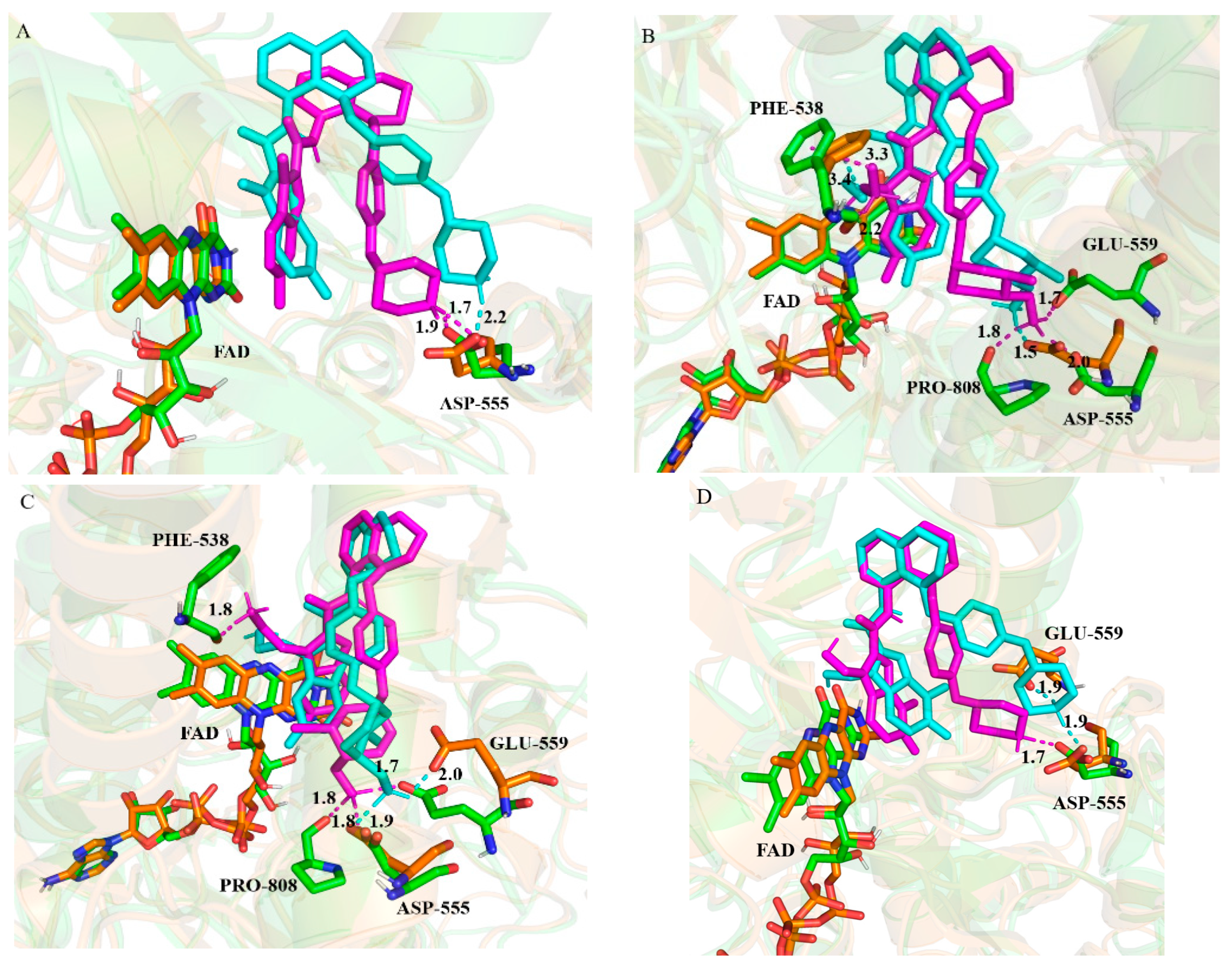 Molecules 27 08358 g007