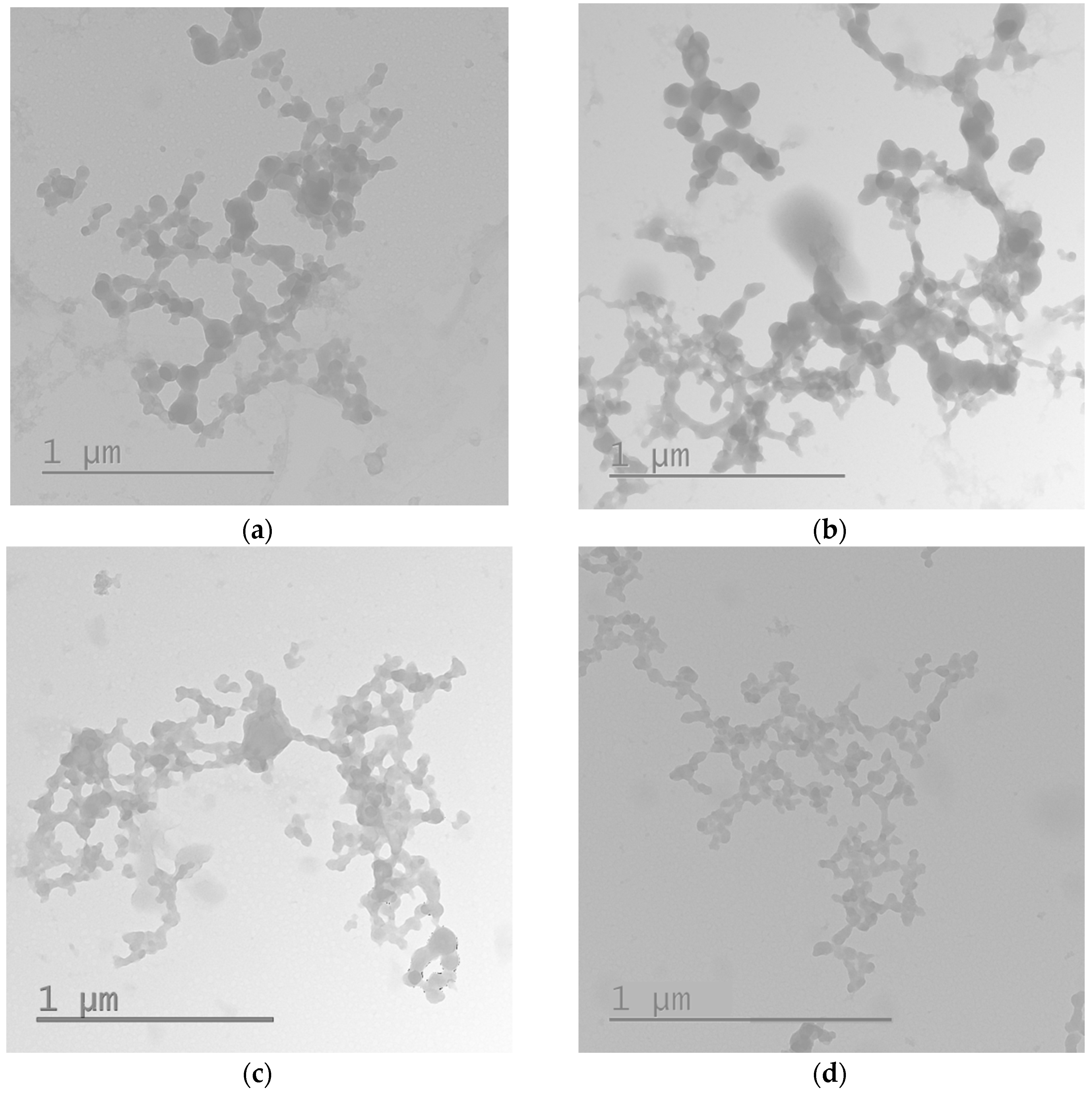 Molecules 27 08363 g002 Molecules 27 08363 g002