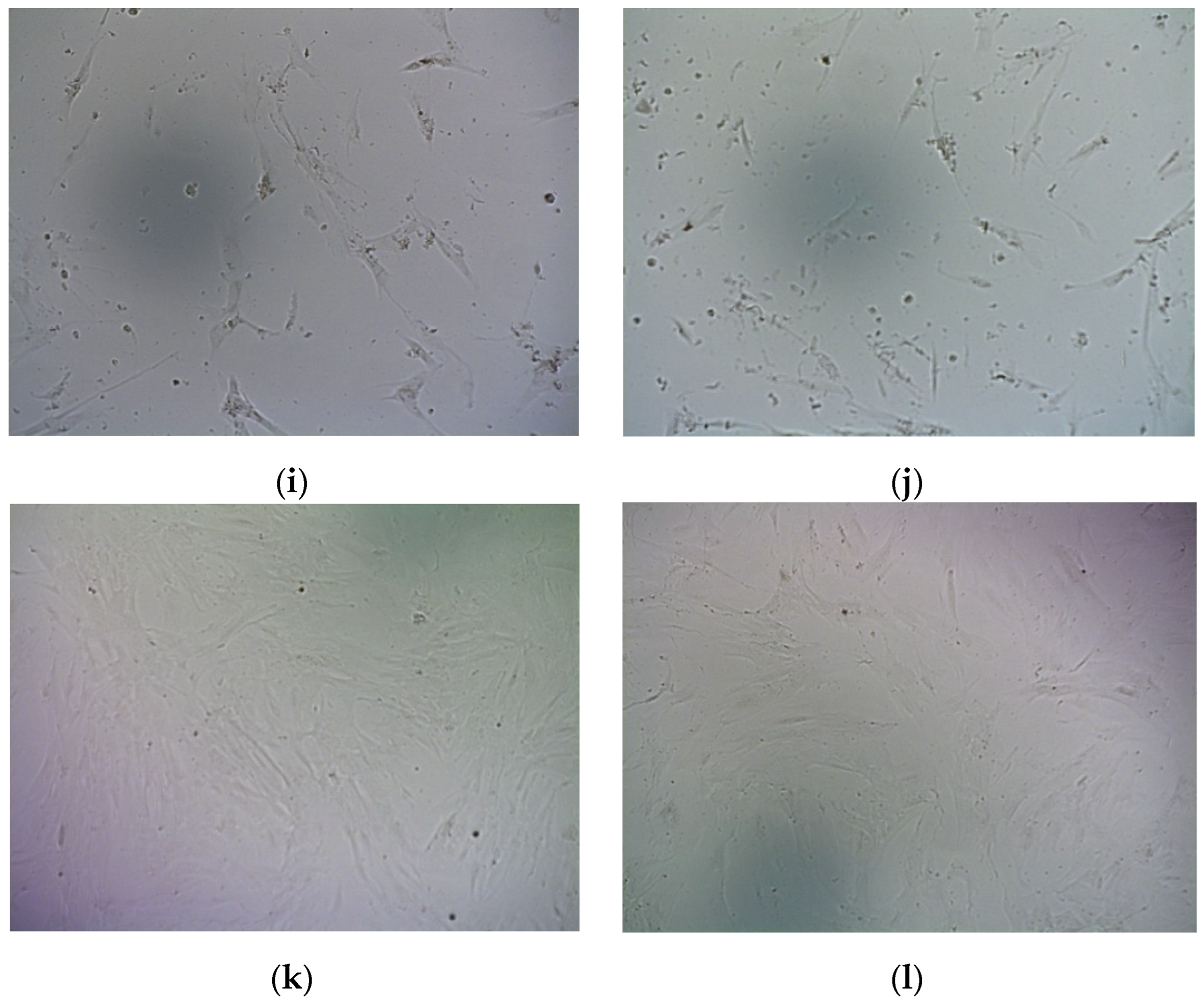 Molecules 27 08363 g010b Molecules 27 08363 g010b