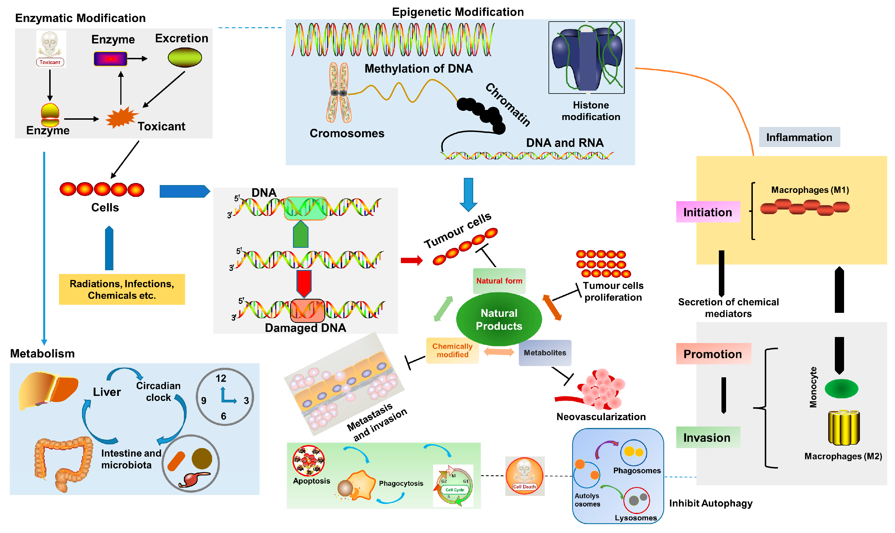 Molecules 27 08367 g003