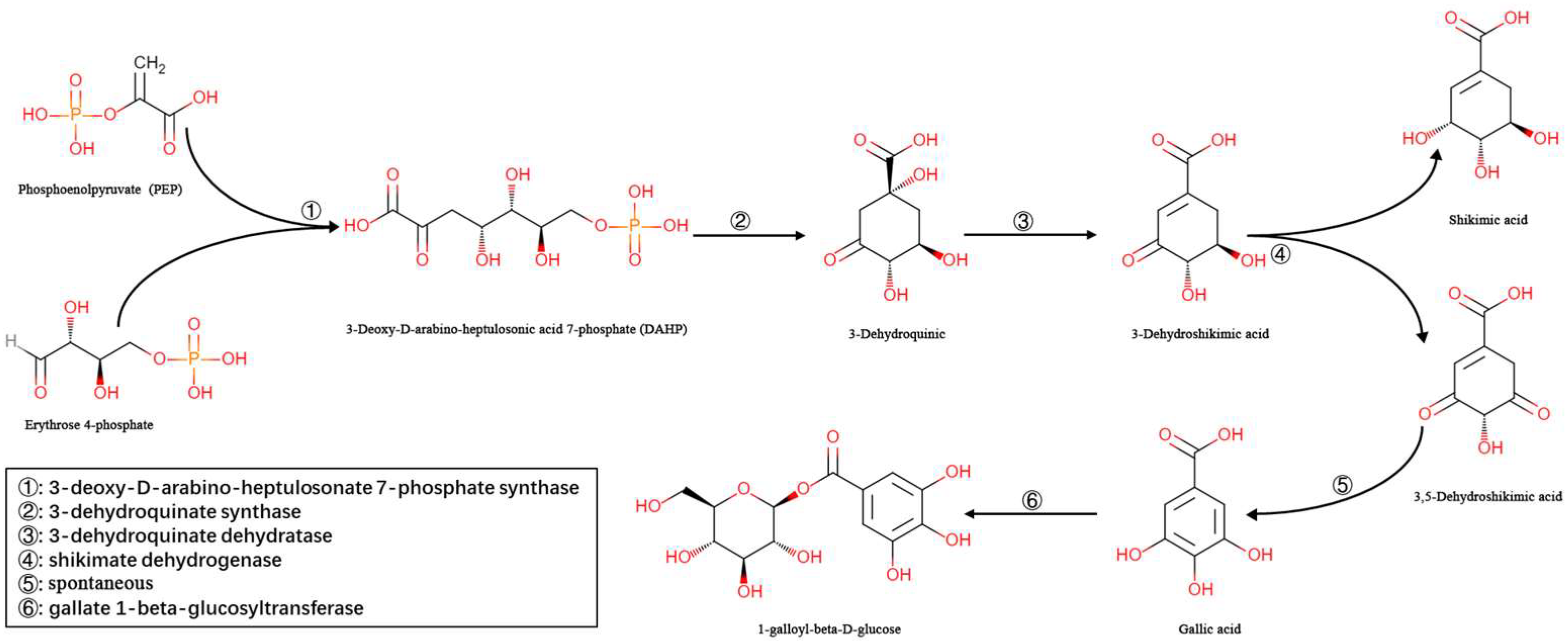 Molecules 27 08374 g001