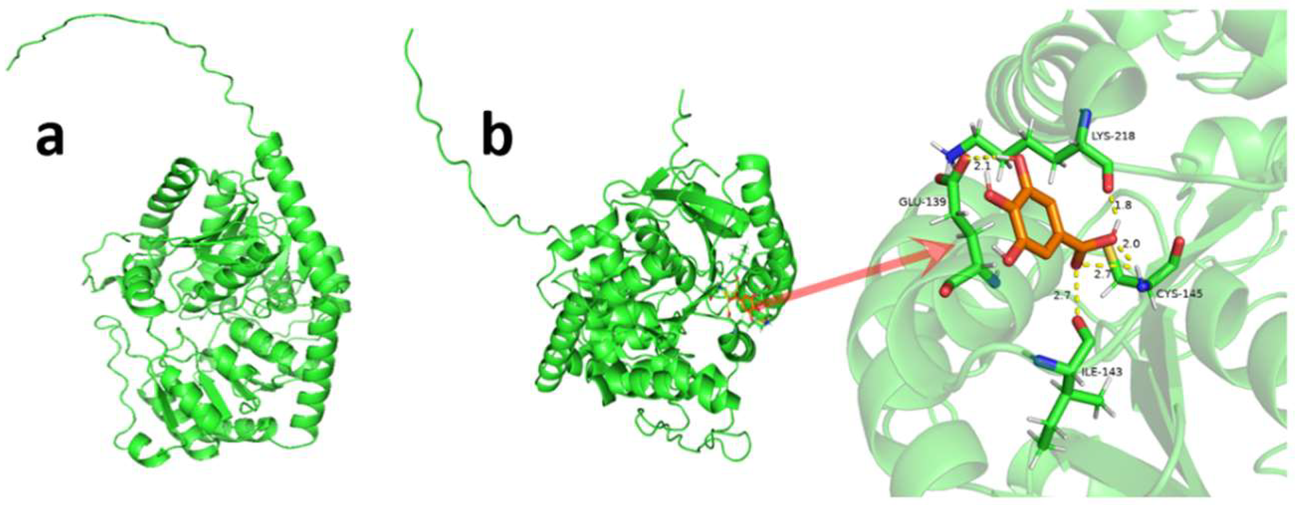 Molecules 27 08374 g004