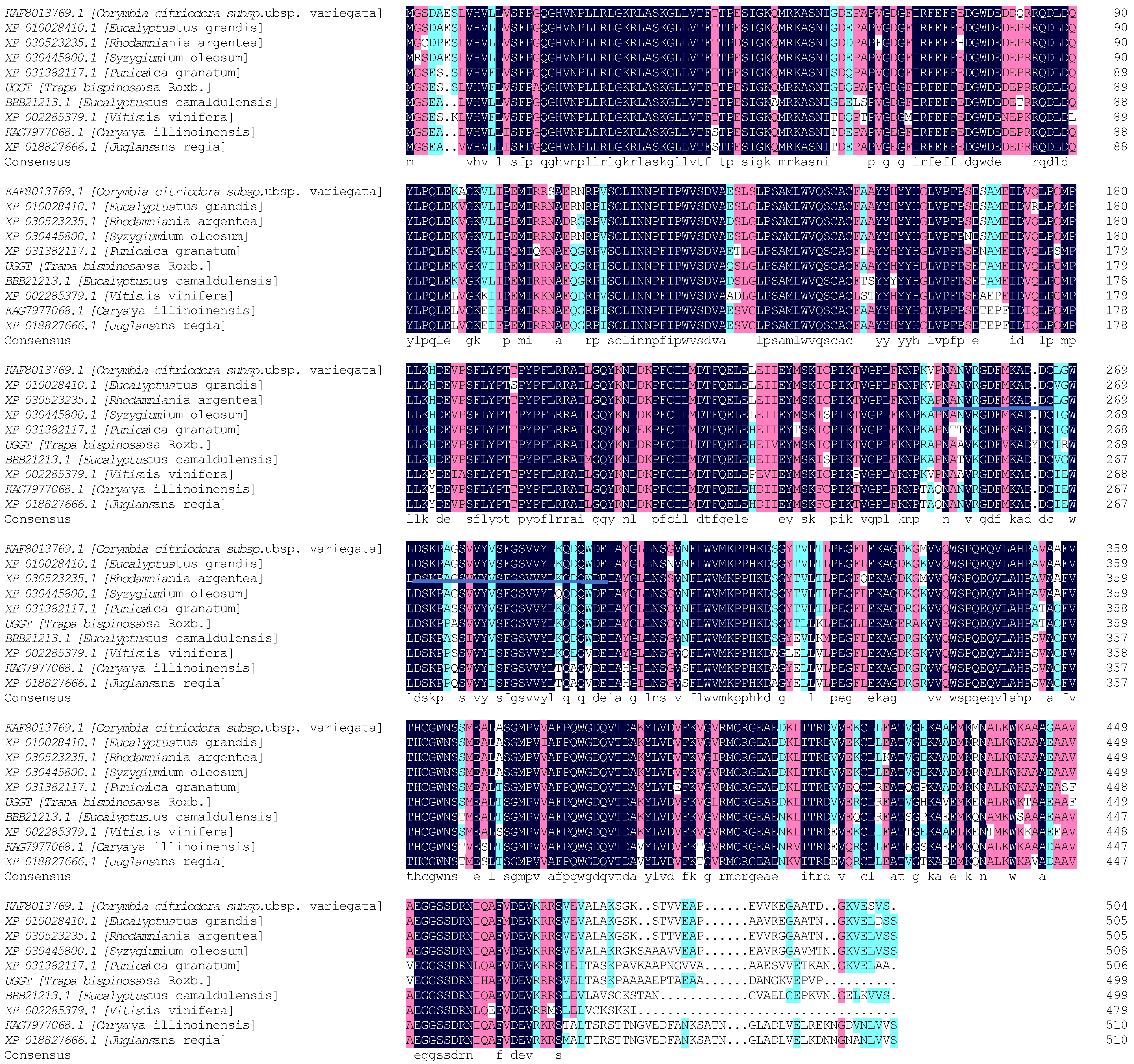 Molecules 27 08374 g005