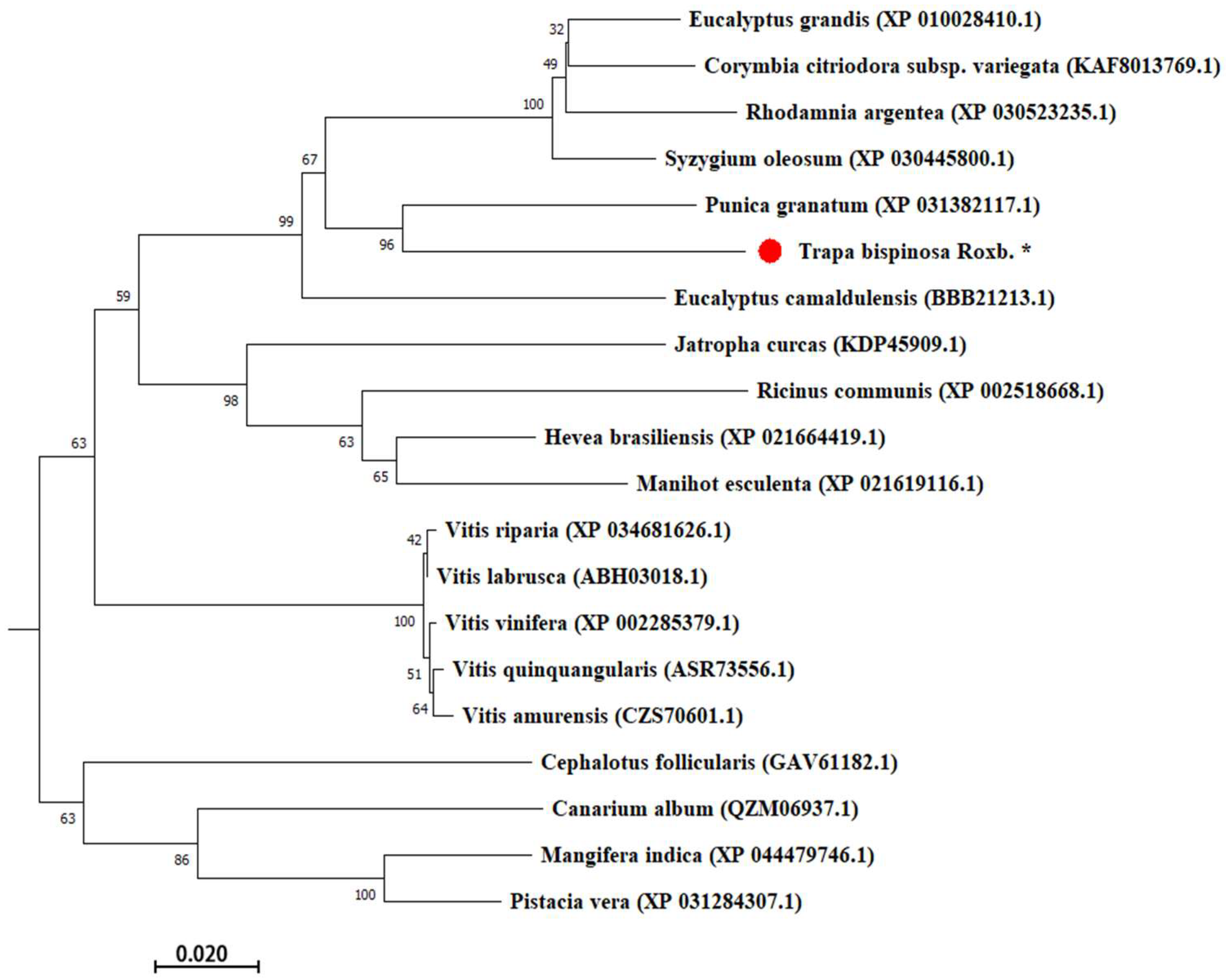 Molecules 27 08374 g006