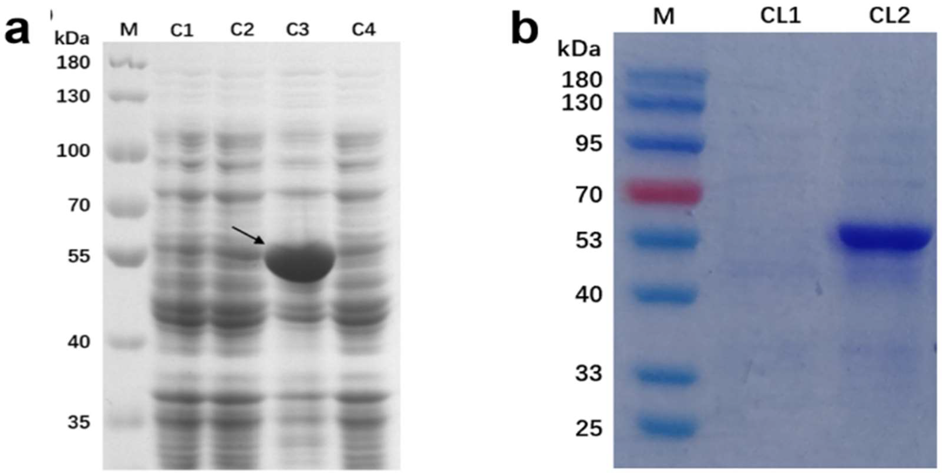 Molecules 27 08374 g007