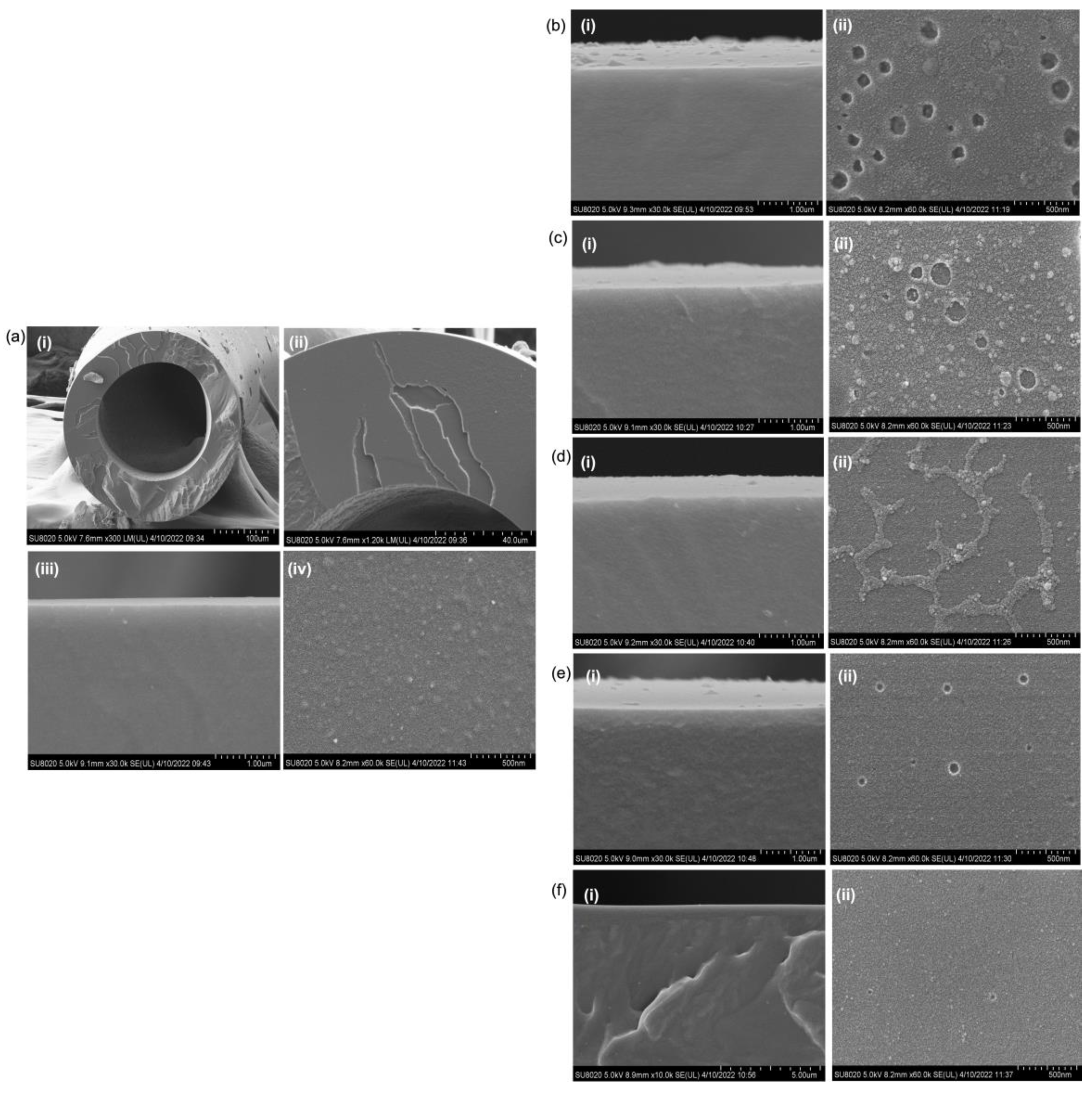 Molecules 27 08381 g004 Molecules 27 08381 g004