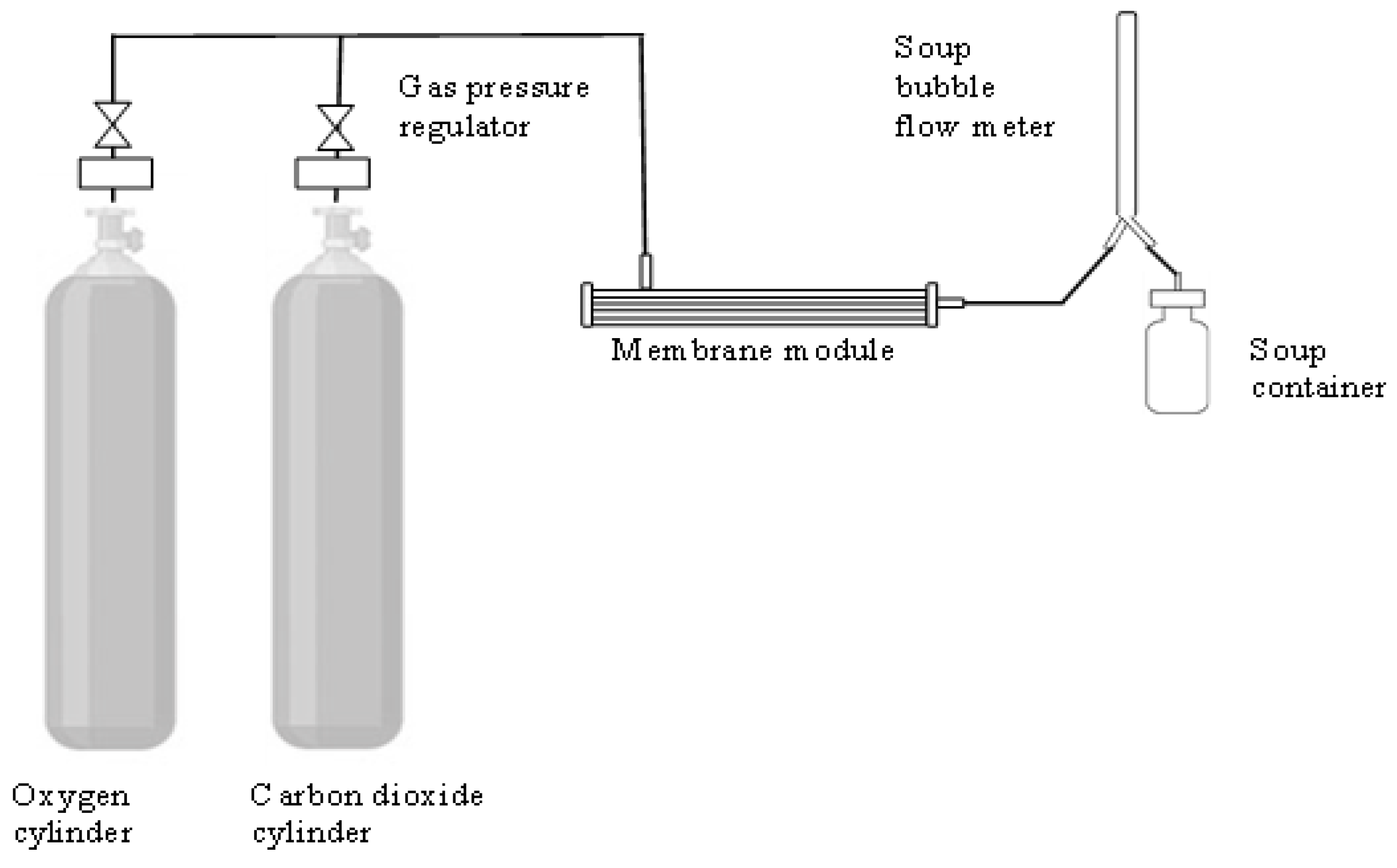 Molecules 27 08381 g009 Molecules 27 08381 g009