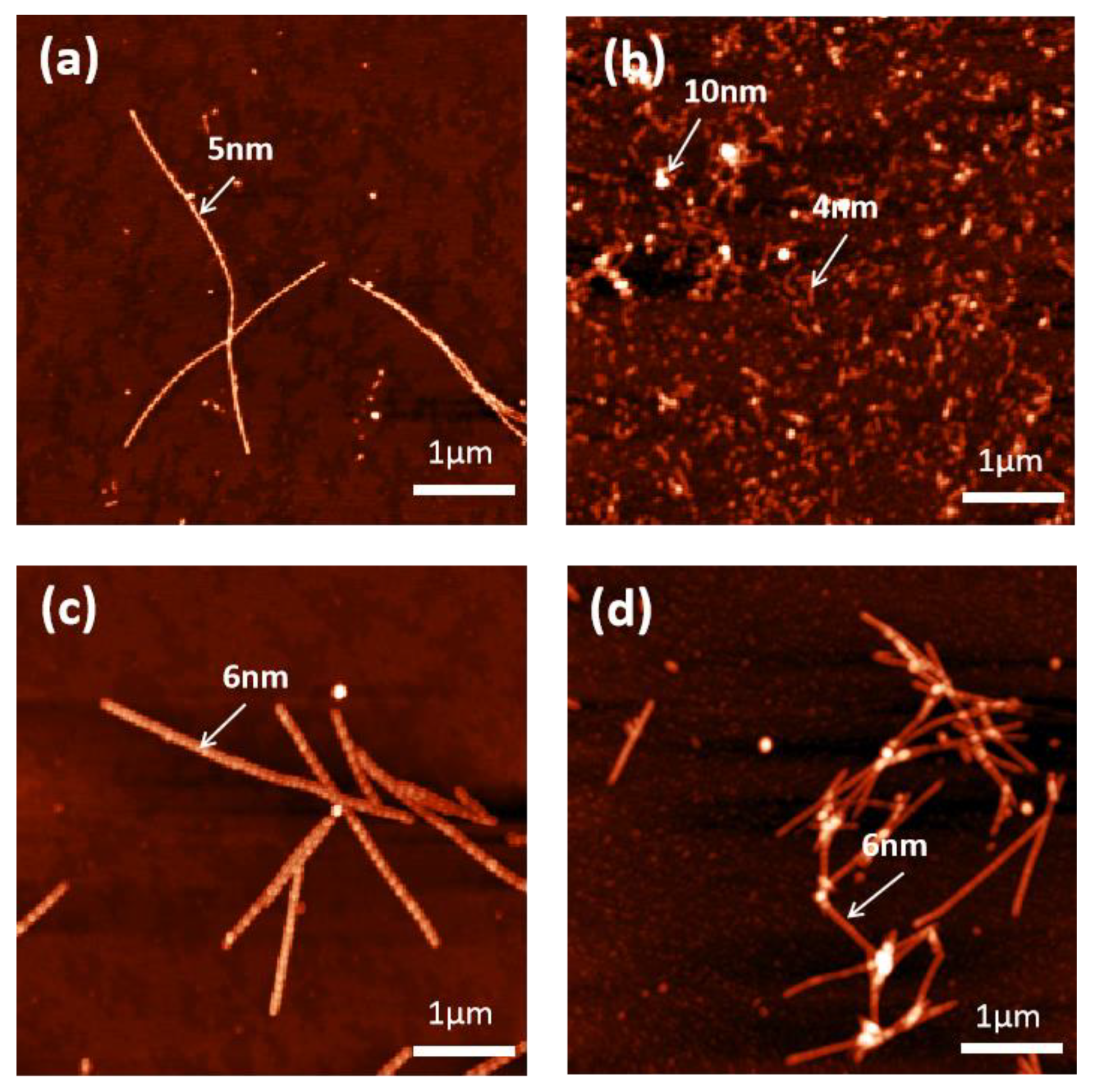 Molecules 27 08383 g005 Molecules 27 08383 g005