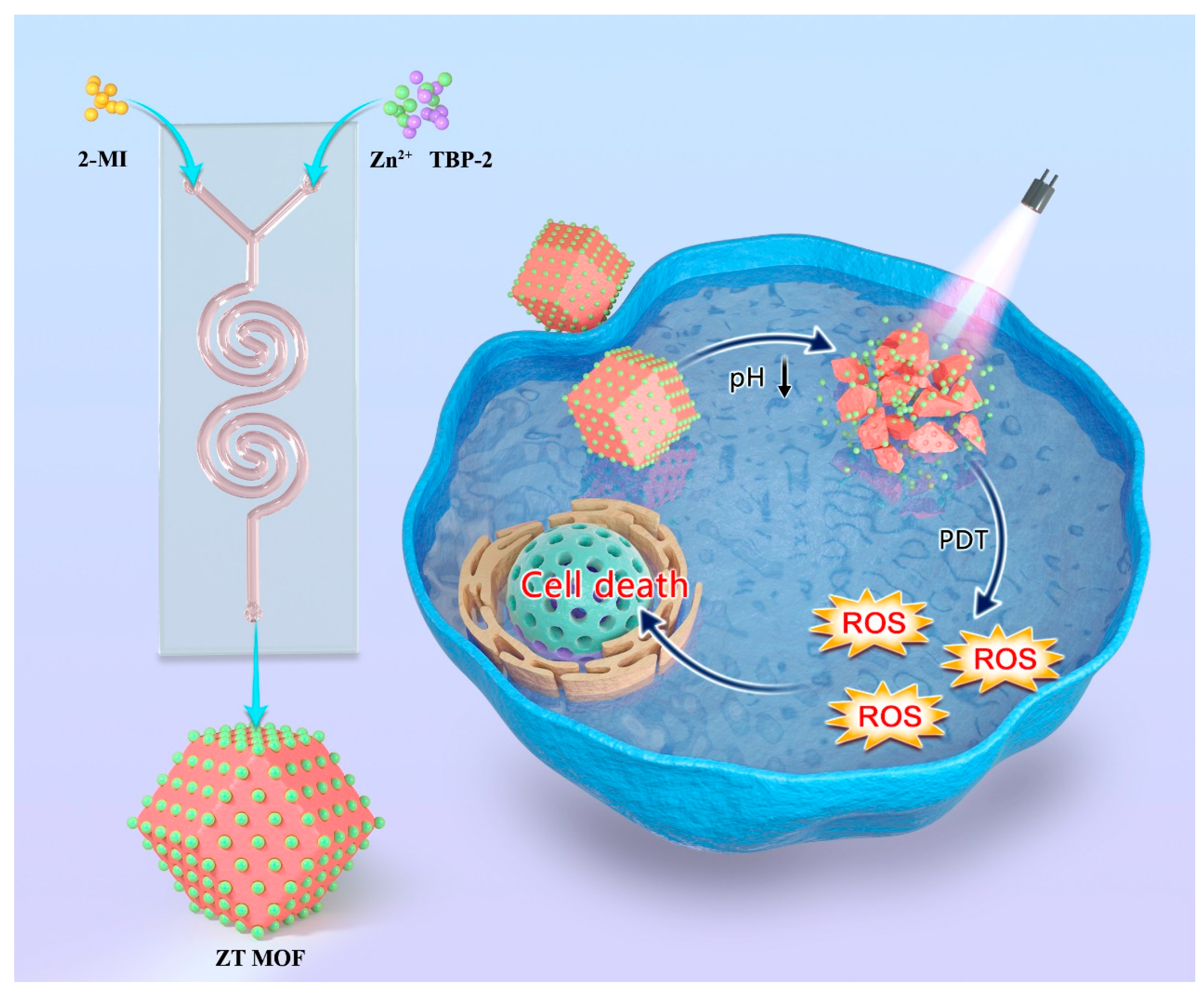 Molecules 27 08386 sch001 Molecules 27 08386 sch001