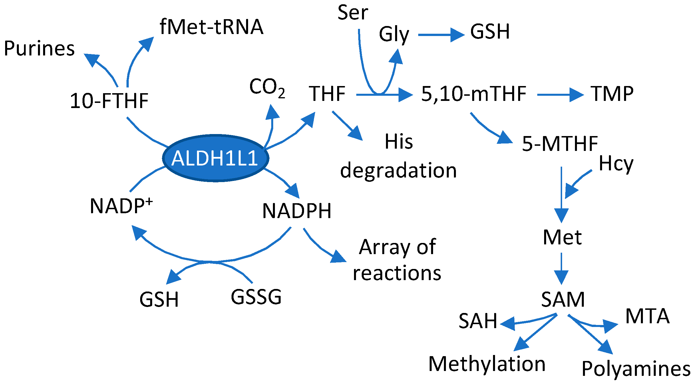 Molecules 27 08394 g001