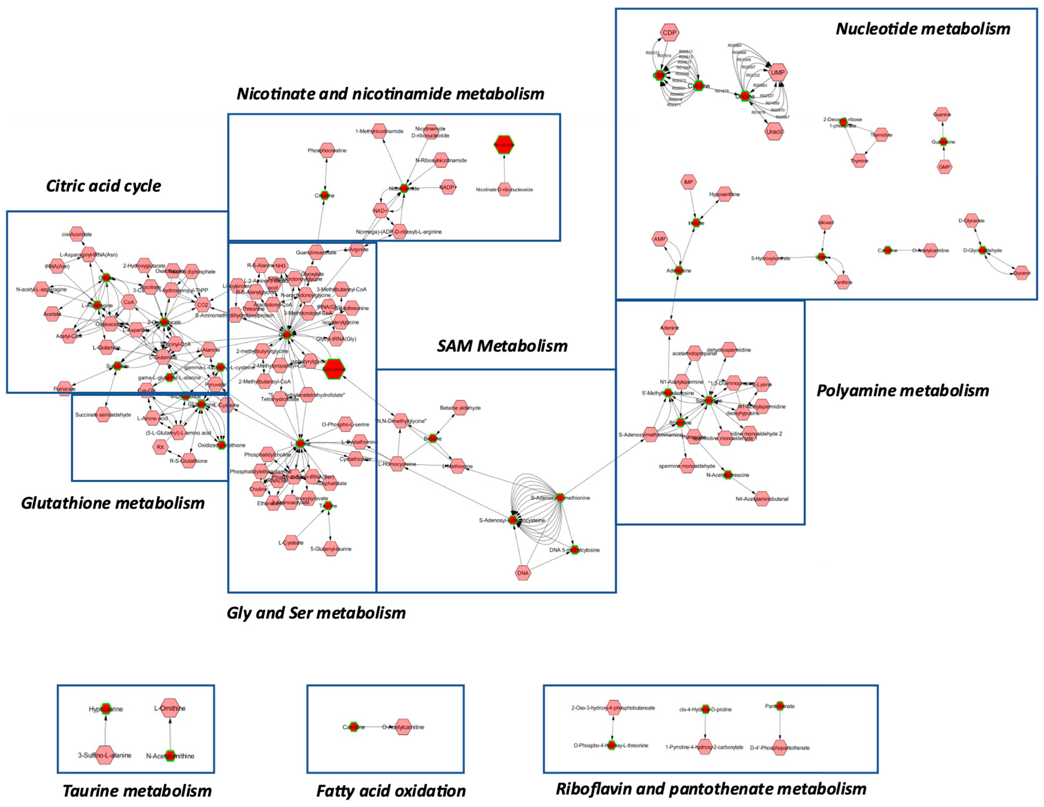 Molecules 27 08394 g007