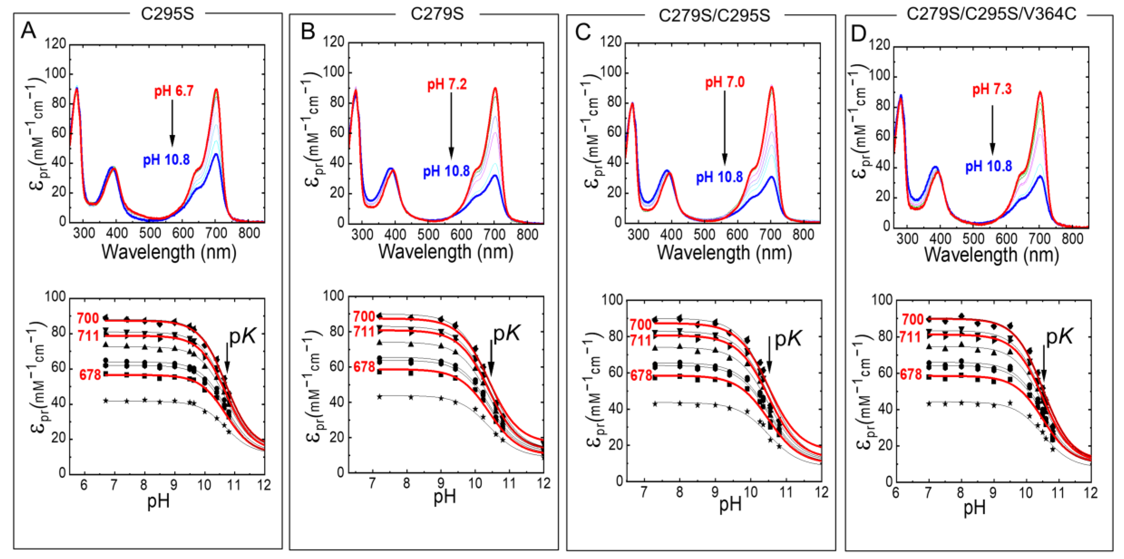 Molecules 27 08395 g005
