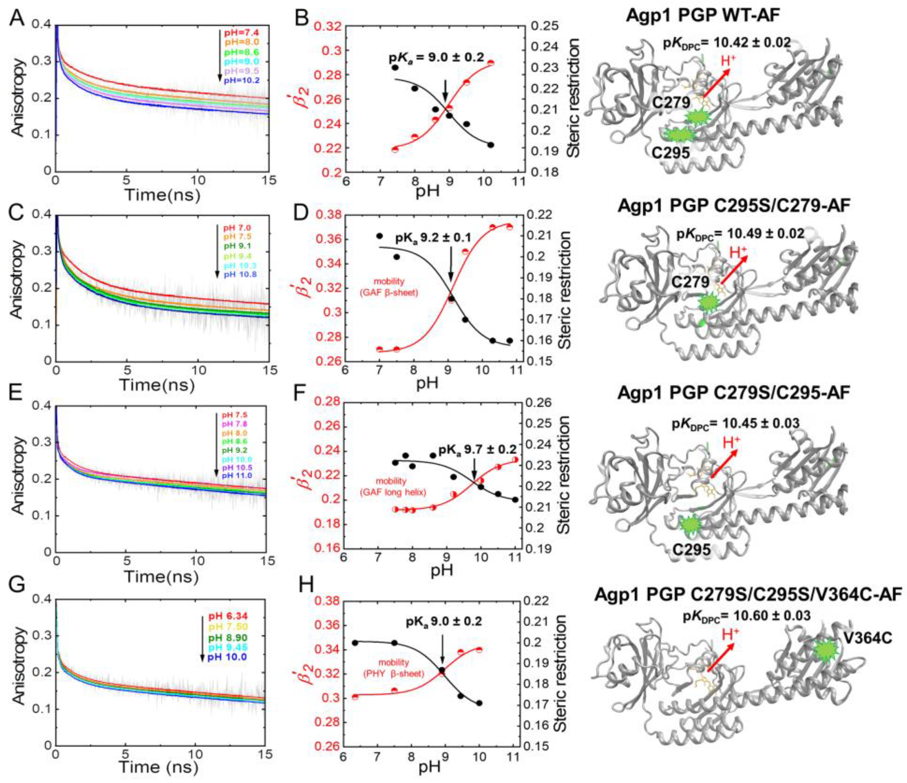 Molecules 27 08395 g007