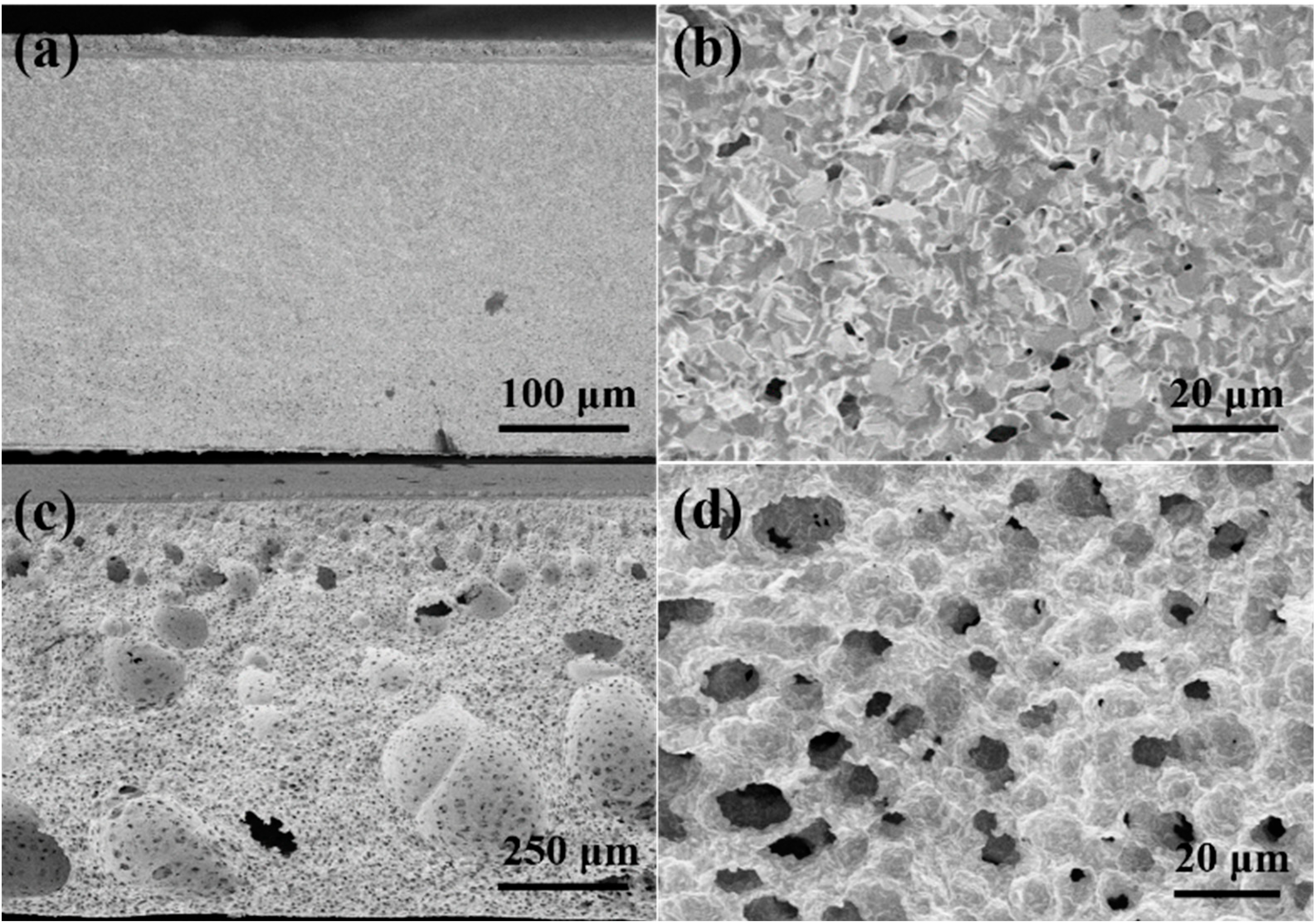 Molecules 27 08396 g001