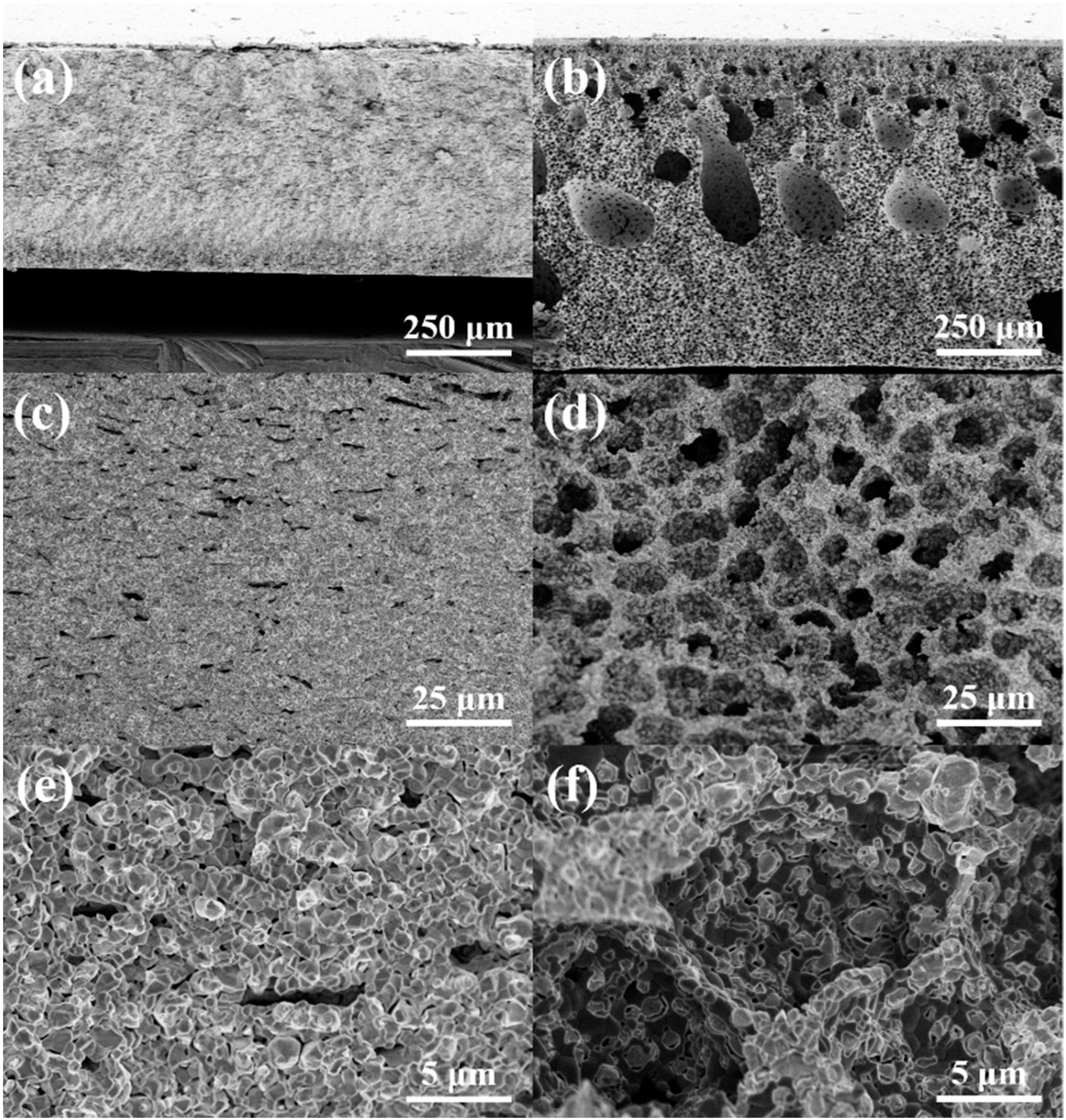 Molecules 27 08396 g002