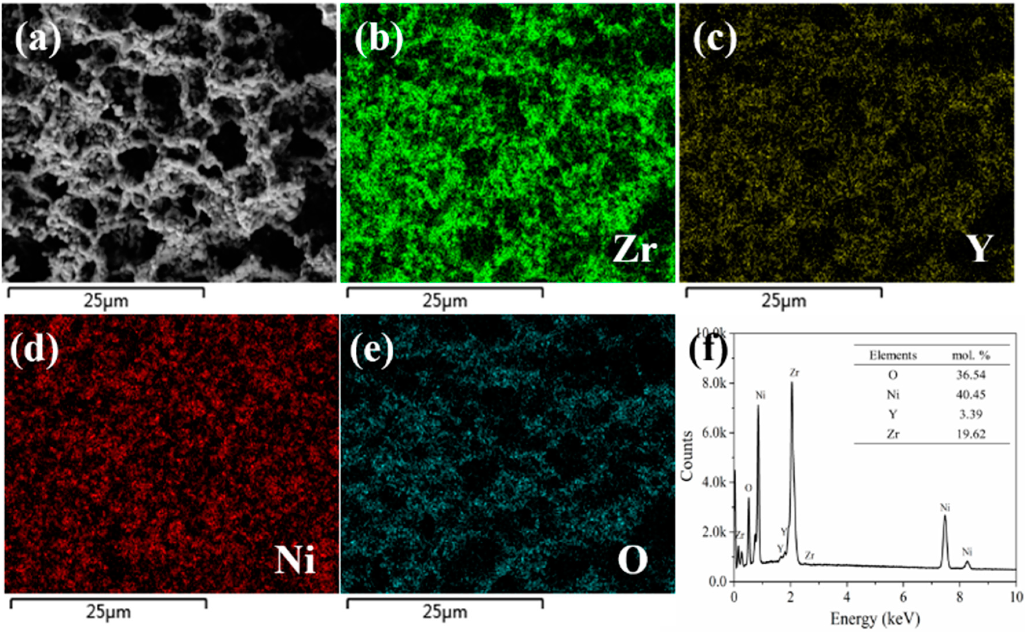 Molecules 27 08396 g004