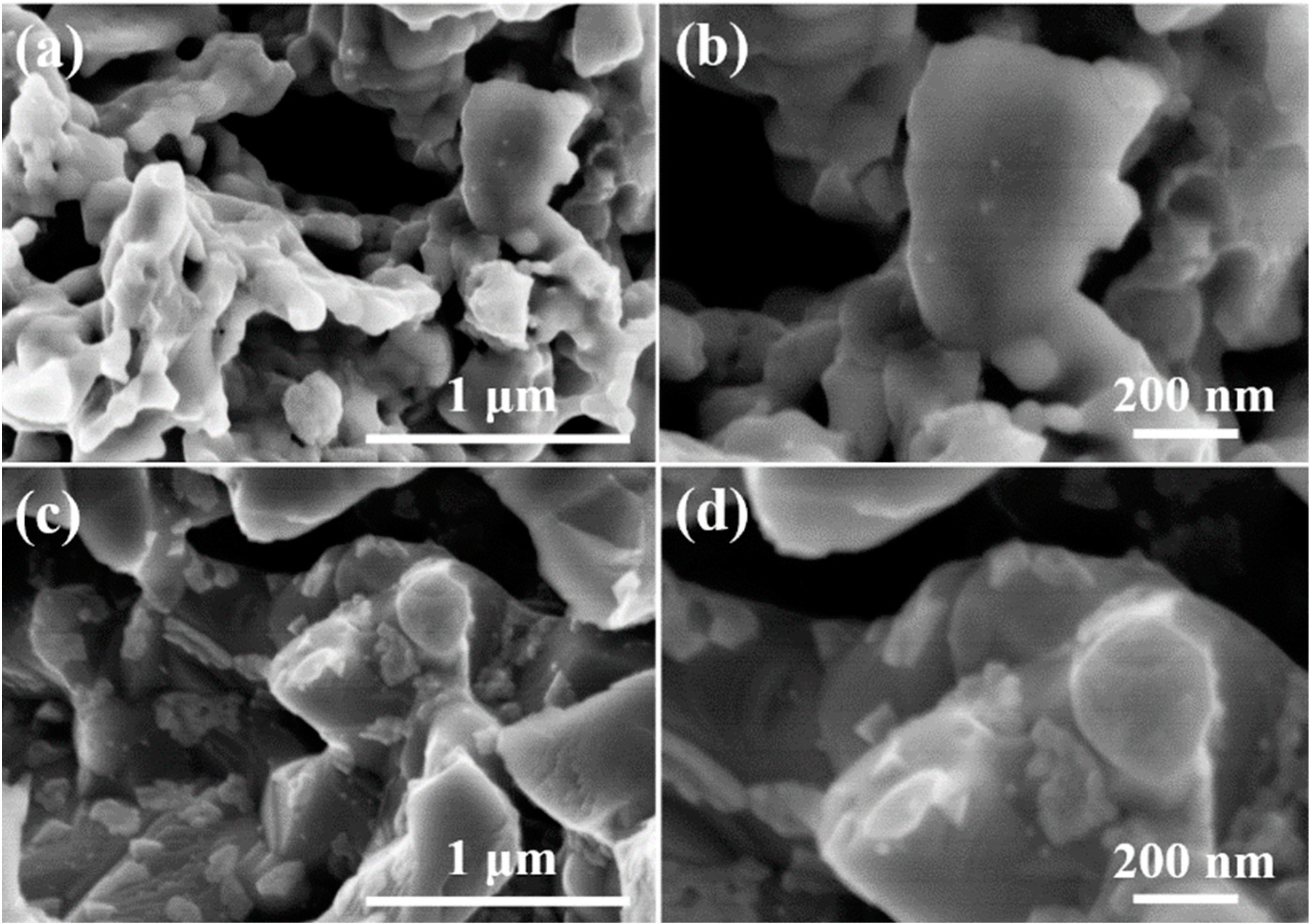 Molecules 27 08396 g006