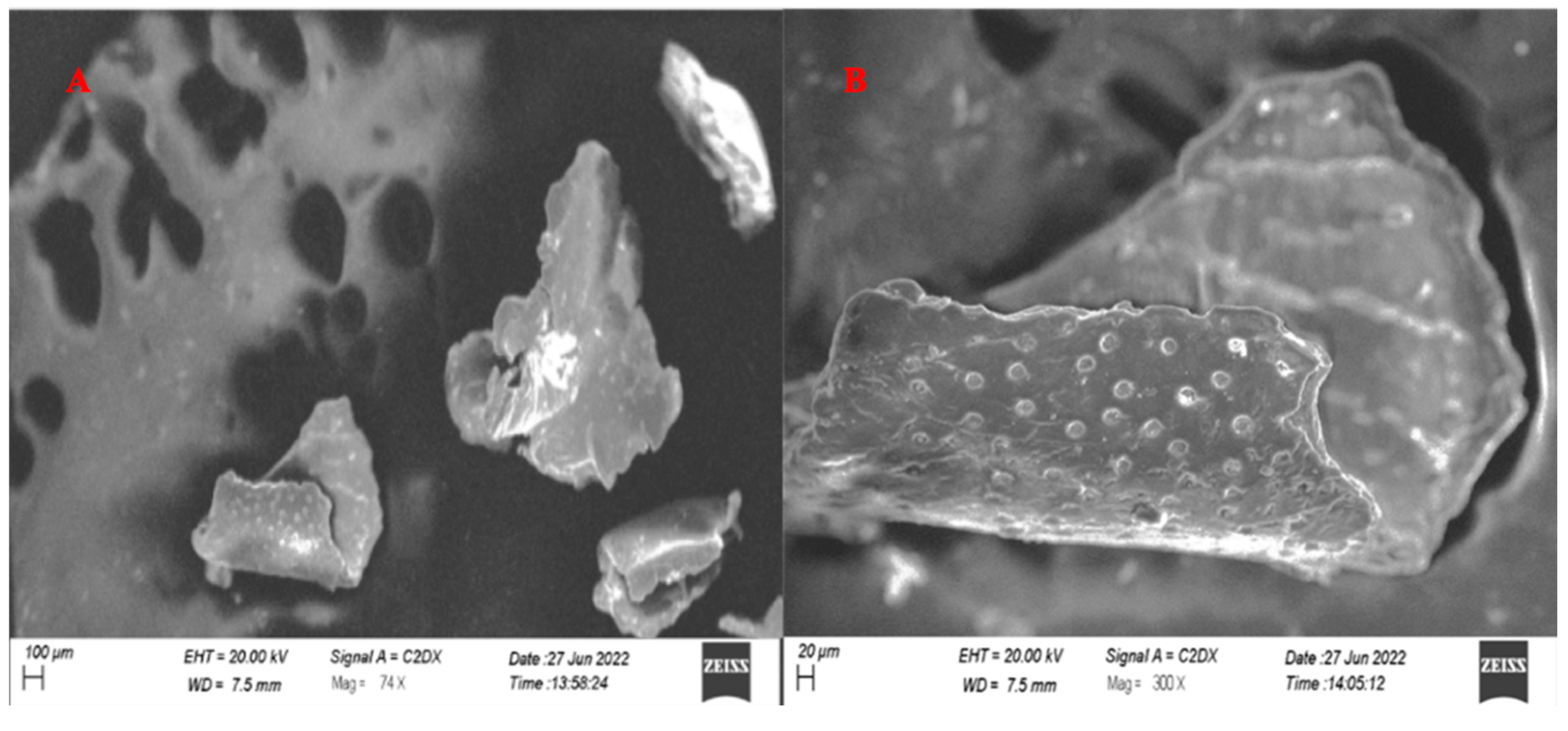 Molecules 27 08401 g008