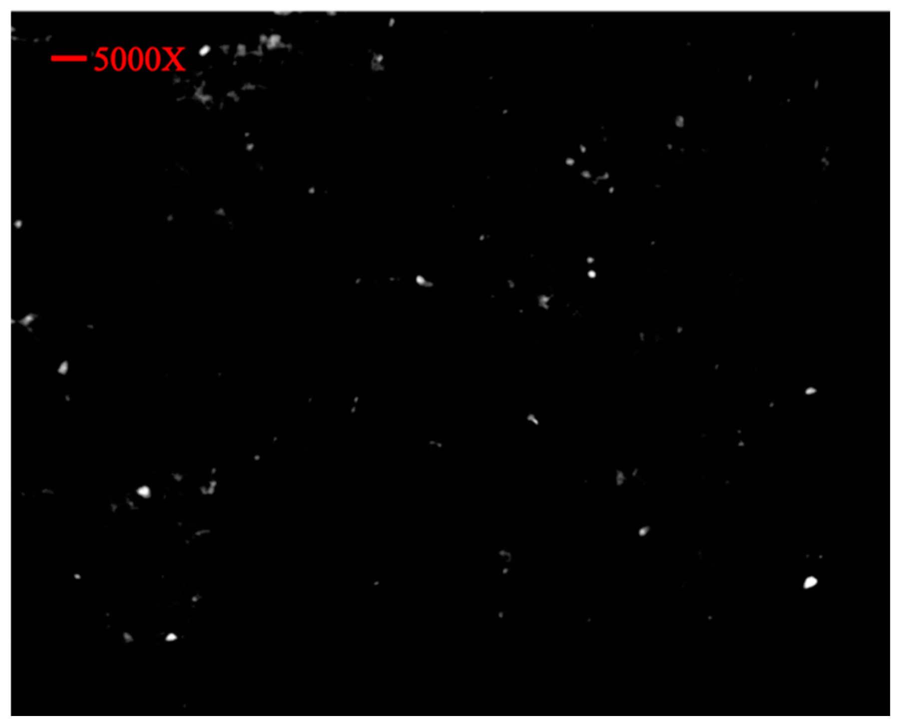Molecules 27 08401 g009