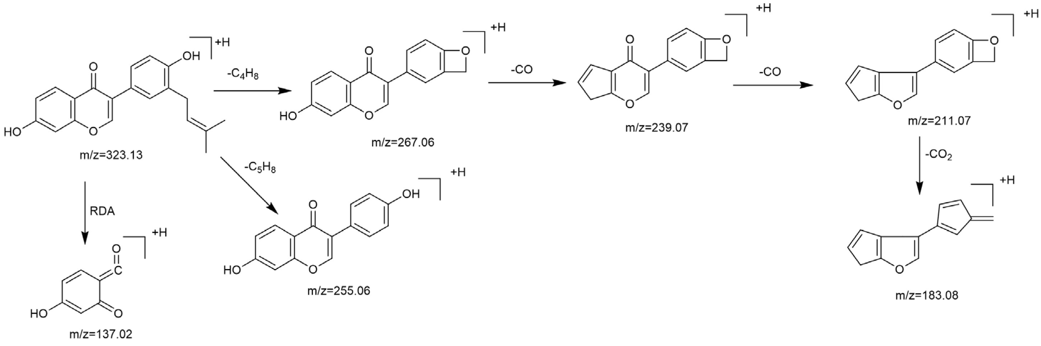 Molecules 27 08413 g004