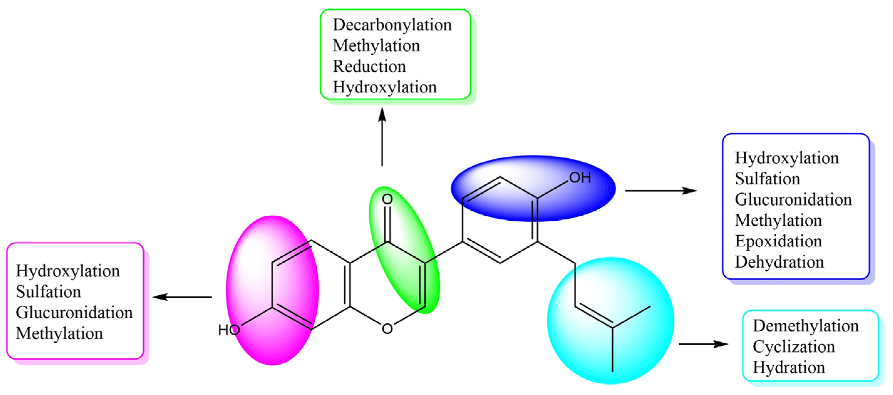 Molecules 27 08413 g005