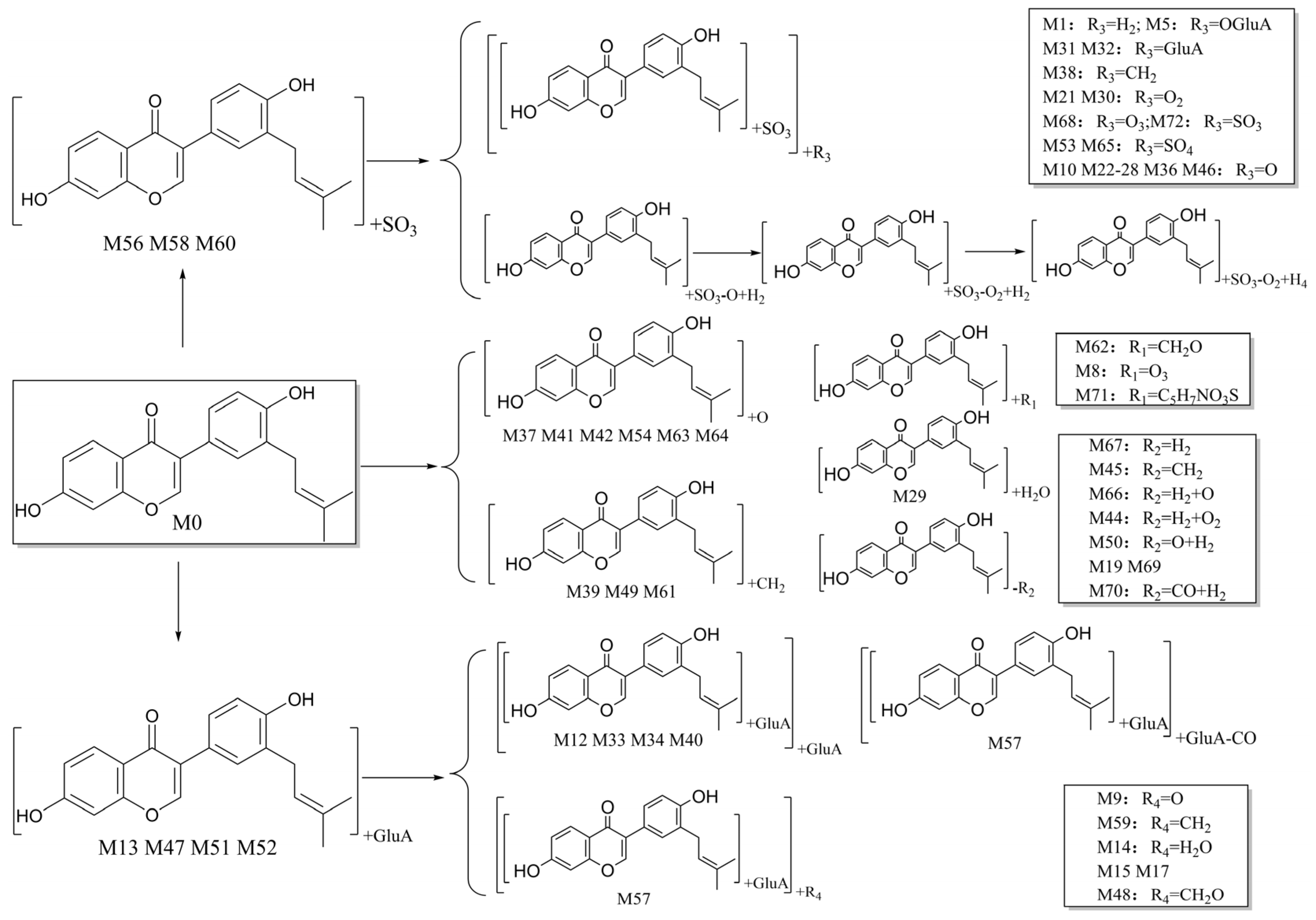 Molecules 27 08413 g006