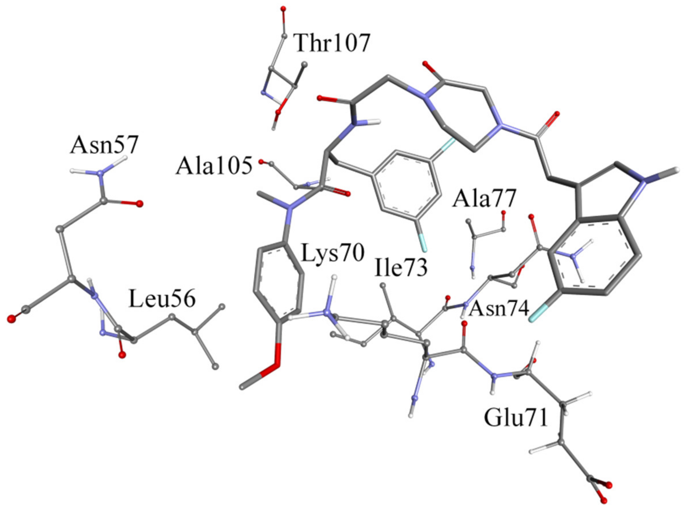 Molecules 27 08415 g005