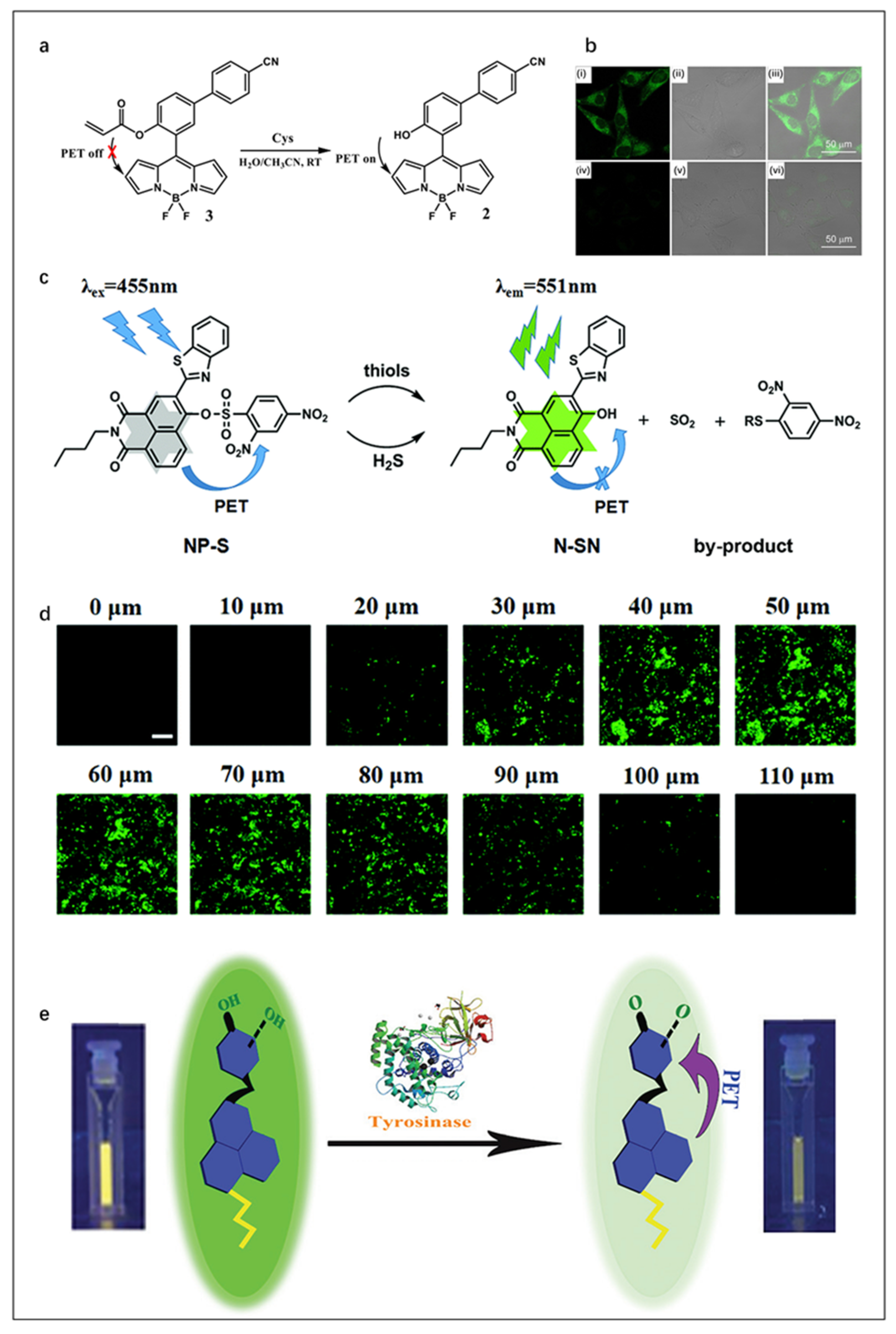 Molecules 27 08421 g003 Molecules 27 08421 g003