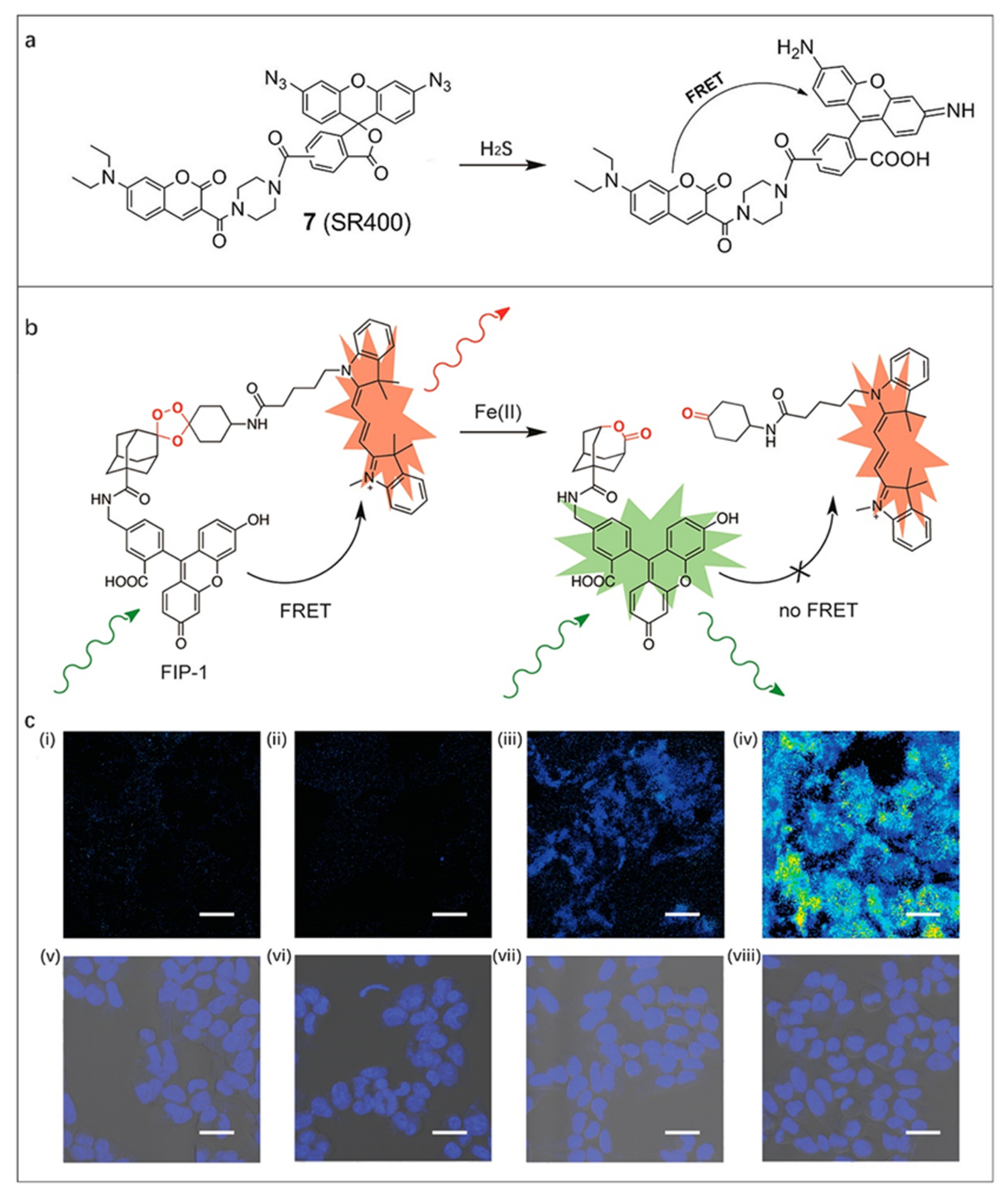 Molecules 27 08421 g005 Molecules 27 08421 g005