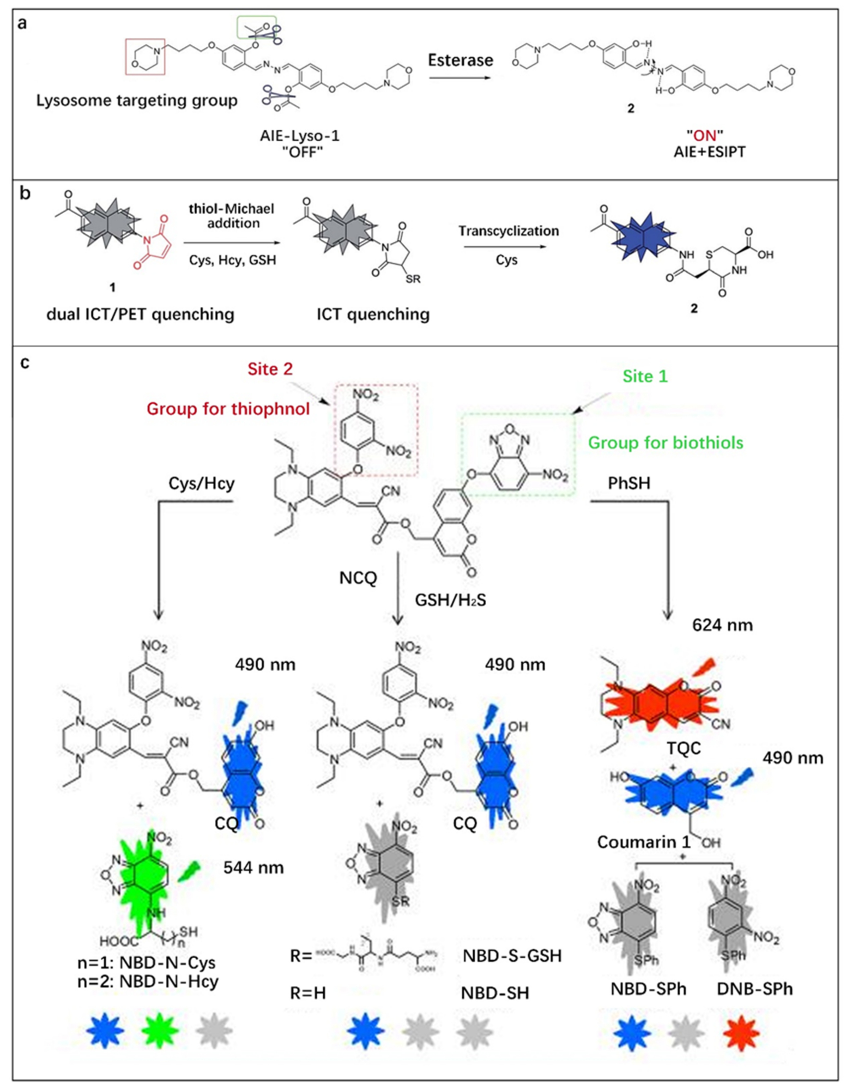 Molecules 27 08421 g008 Molecules 27 08421 g008